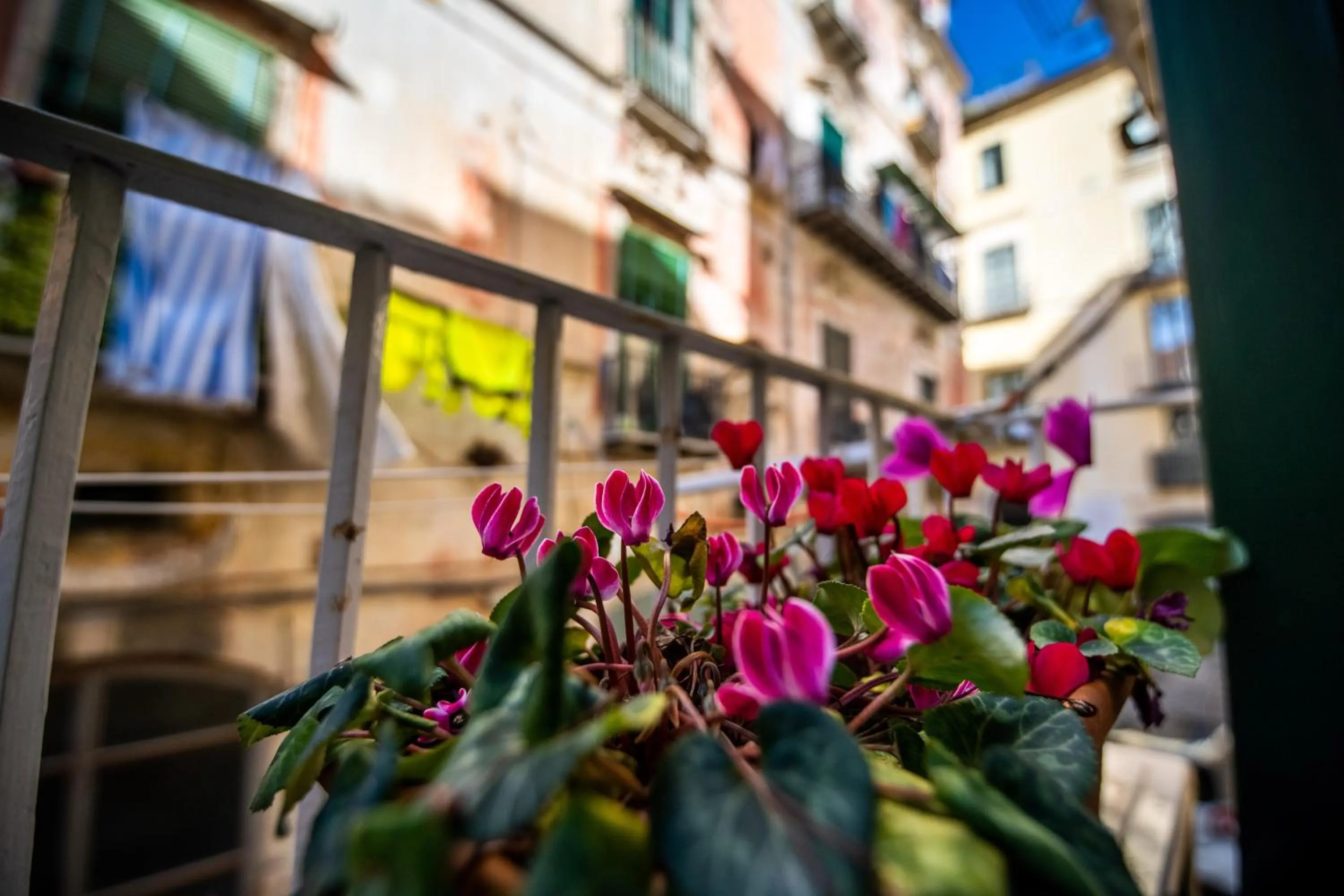 Balcony/Terrace in Terre Dipinte