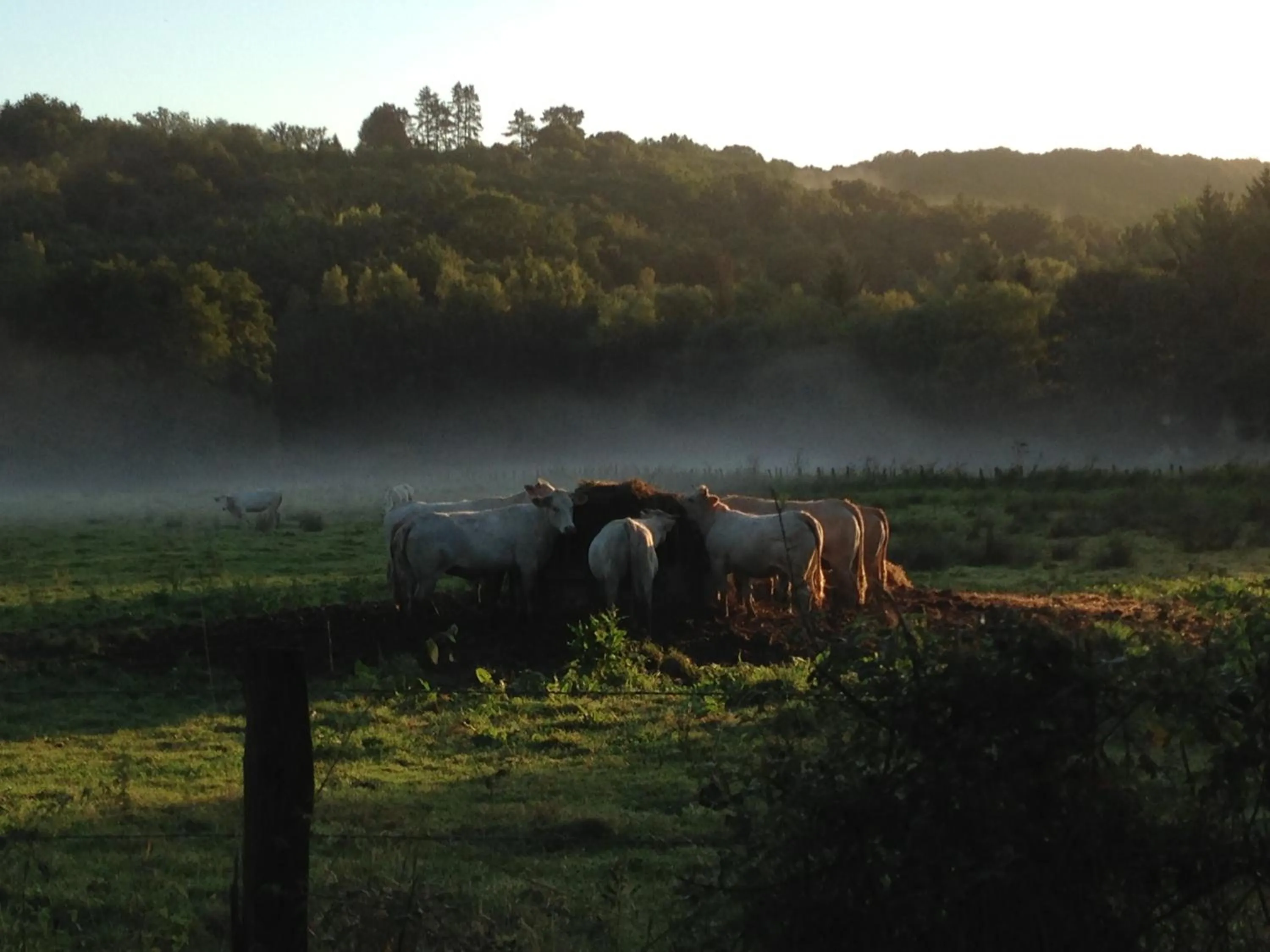 Area and facilities in Logis Hôtel - Le Manoir de Sauvegrain