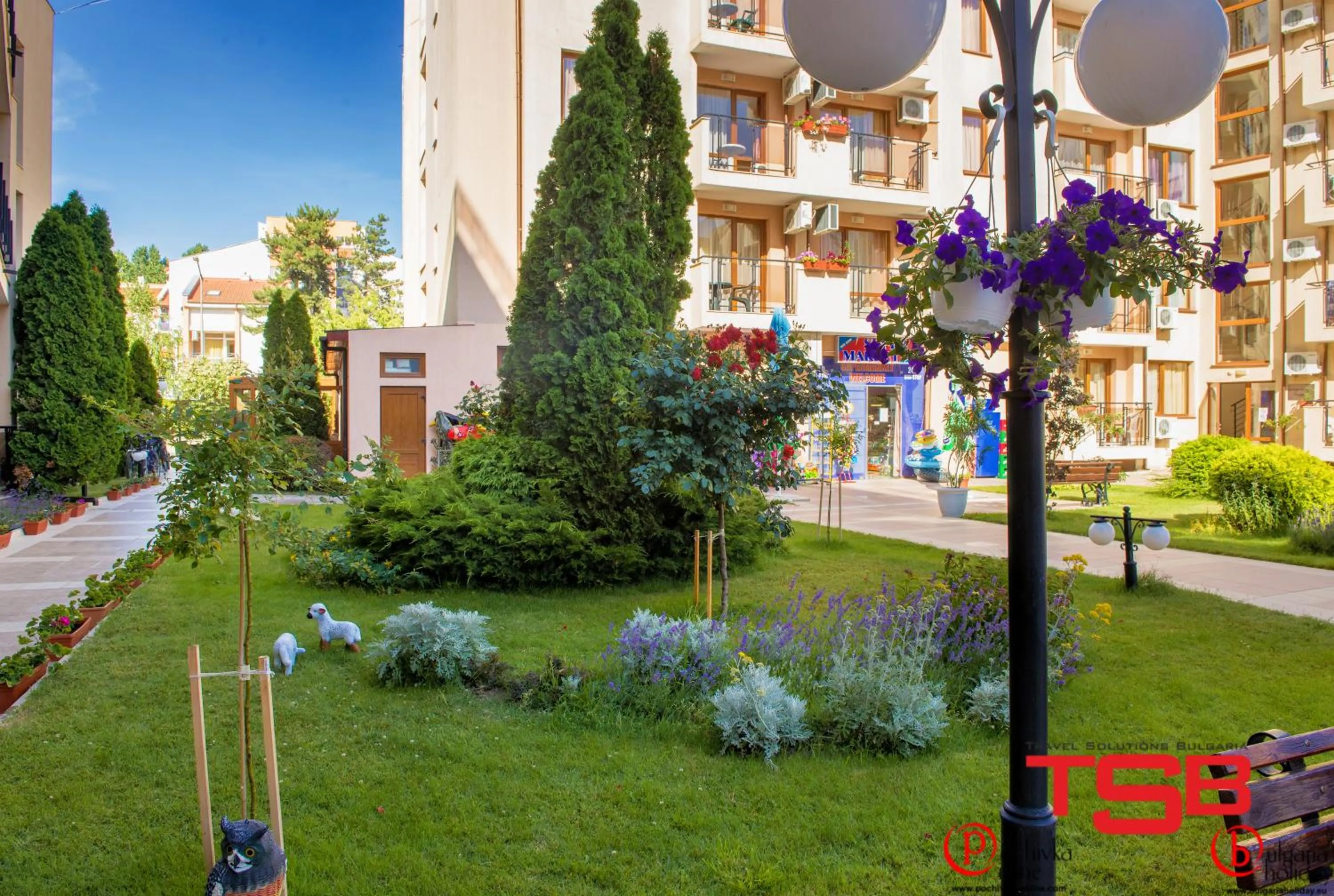 Area and facilities in TSB Sunny Victory