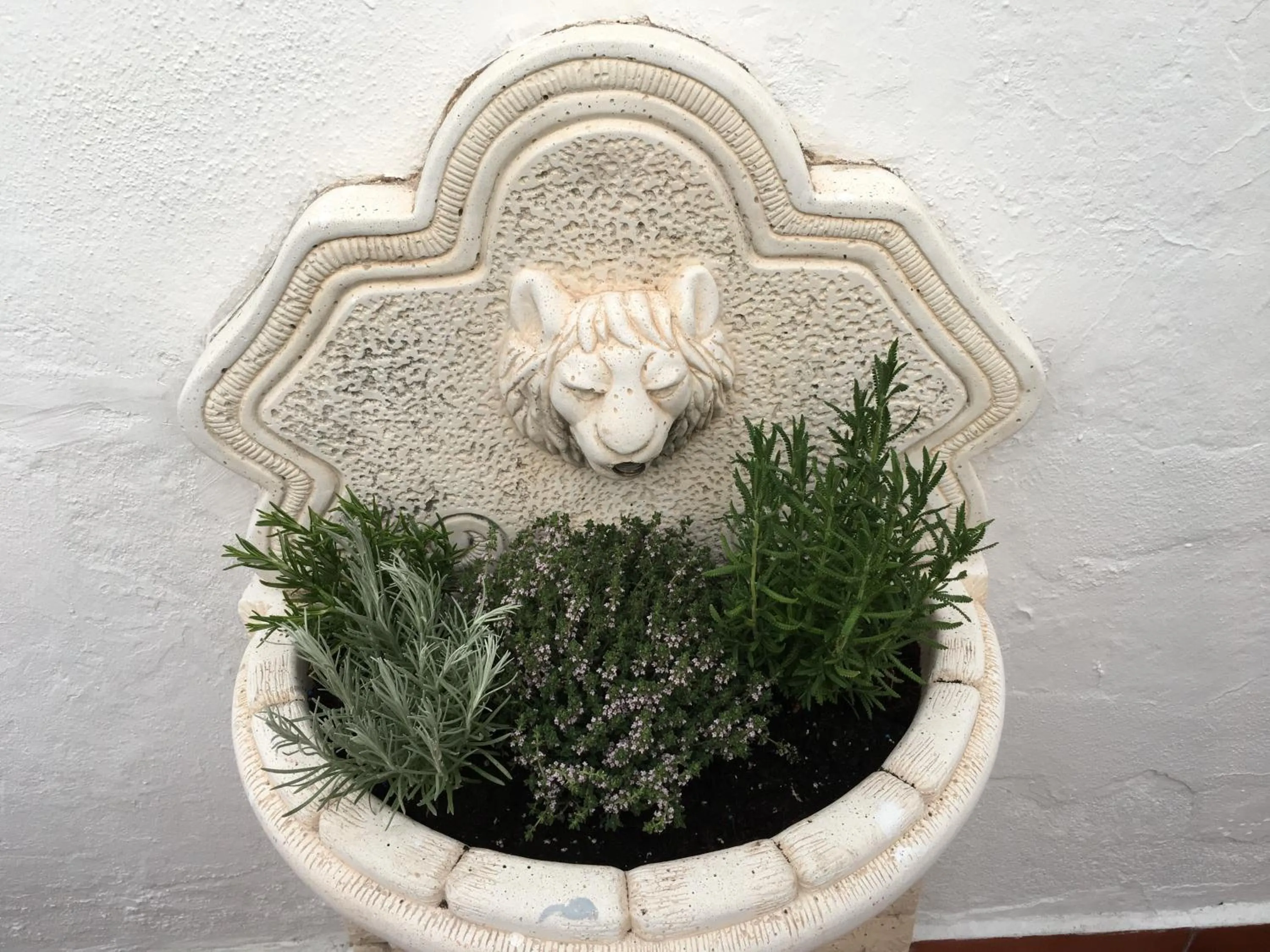 Patio in La Moraga de Poniente Malaga Hostel