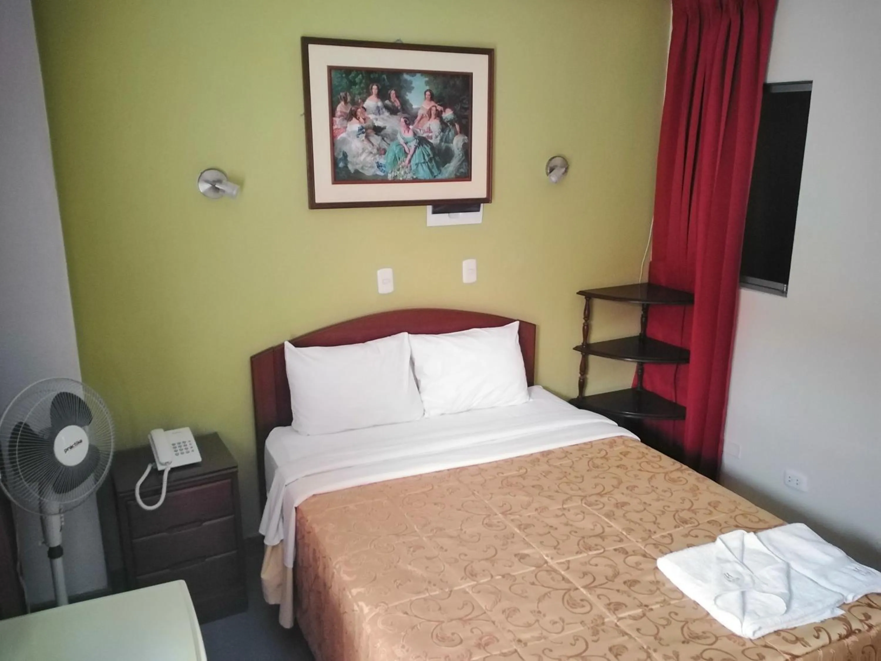 Bed in Hotel Plaza Bolognesi 344