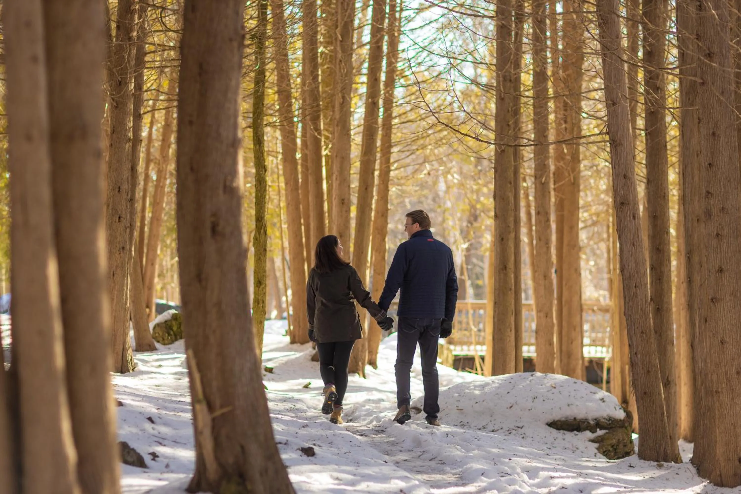 Day in Millcroft Inn & Spa