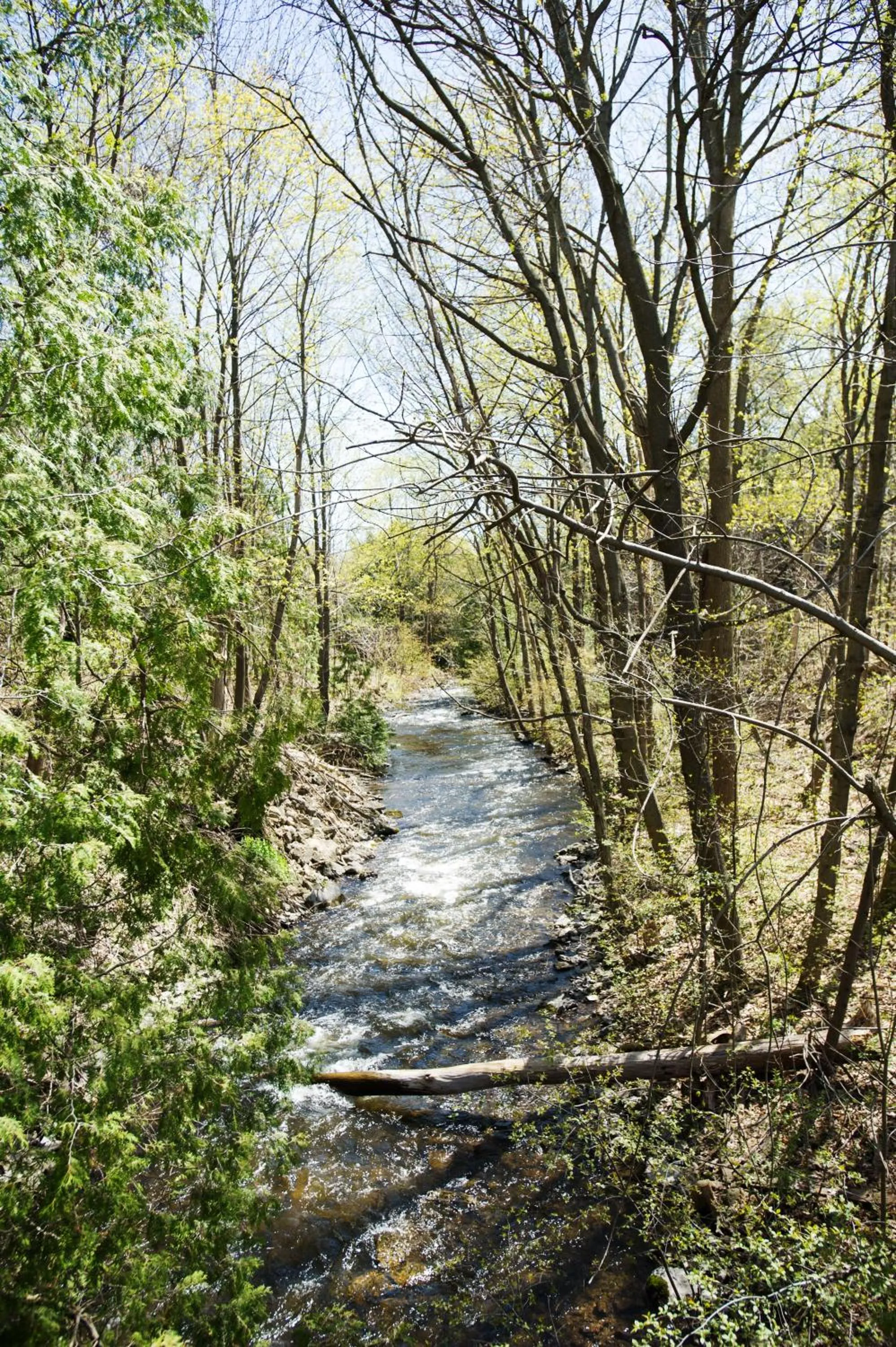 Garden in Millcroft Inn & Spa