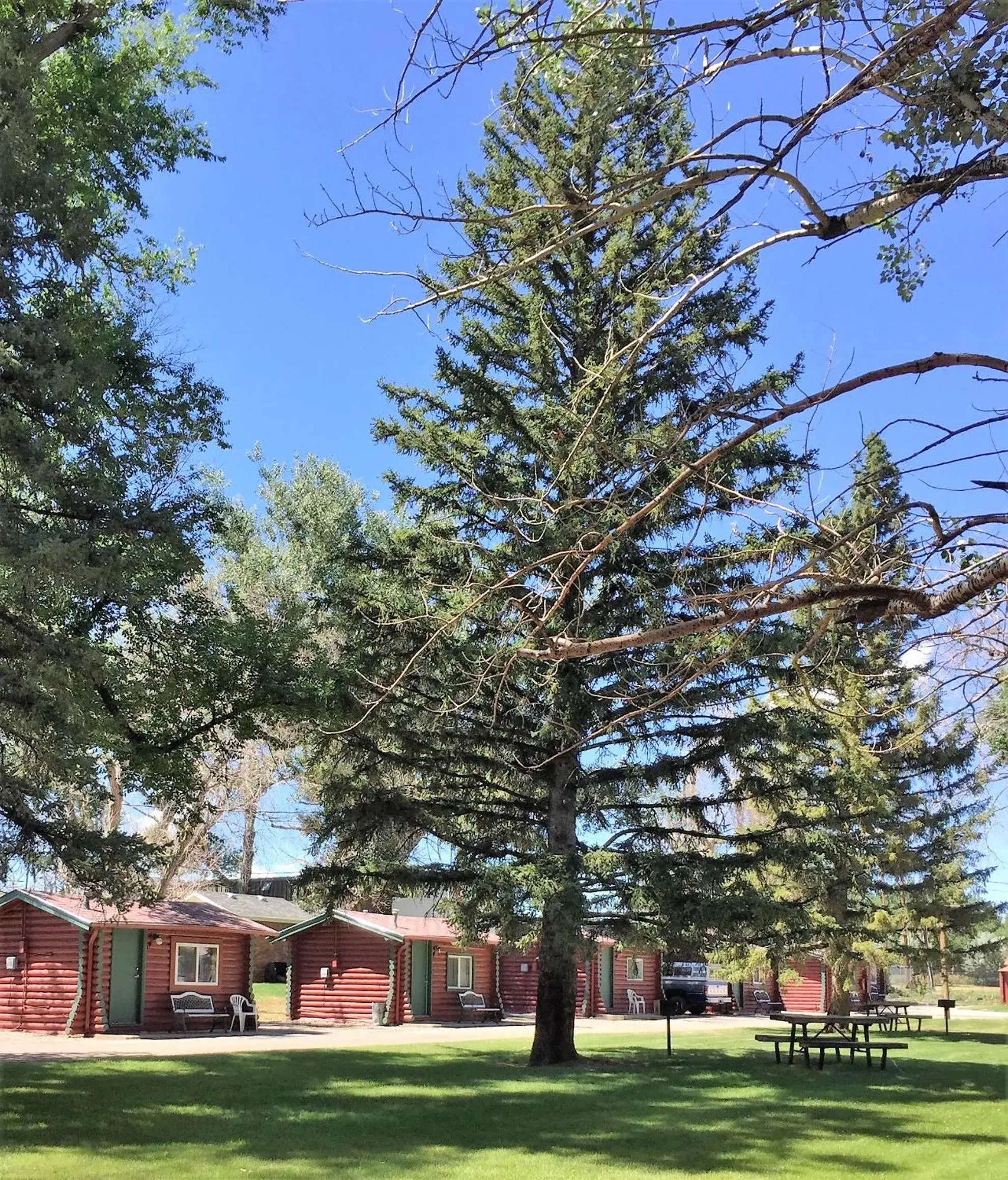 Queen Cabin - Pet Friendly in Z Bar Motel Queen Cabin - Pet Friendly in Z Bar Motel