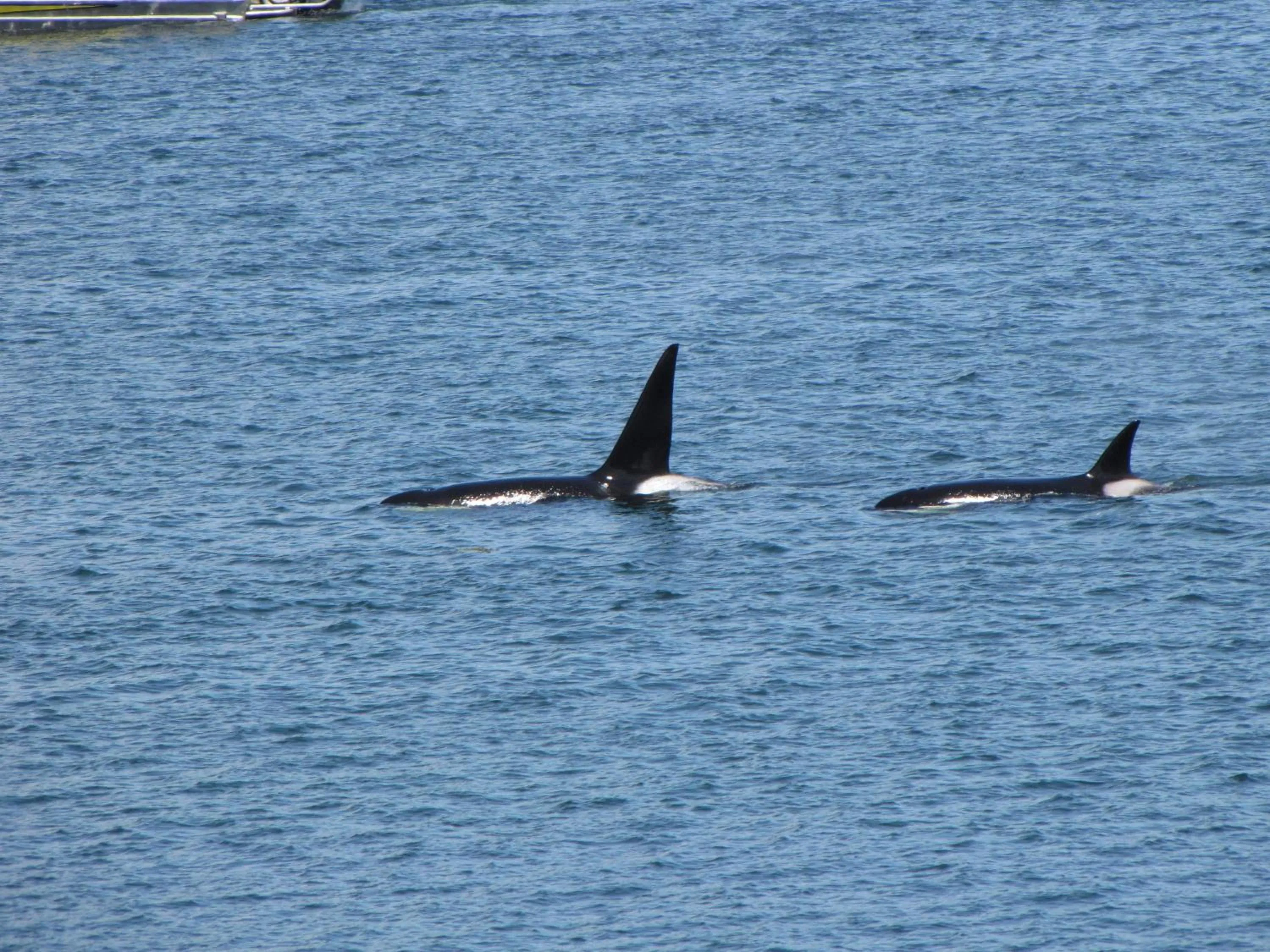 Sea view in Himwitsa Lodge