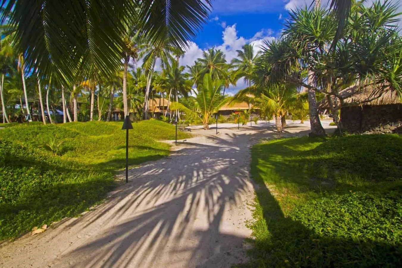 View (from property/room) in Coconuts Beach Club Resort and Spa