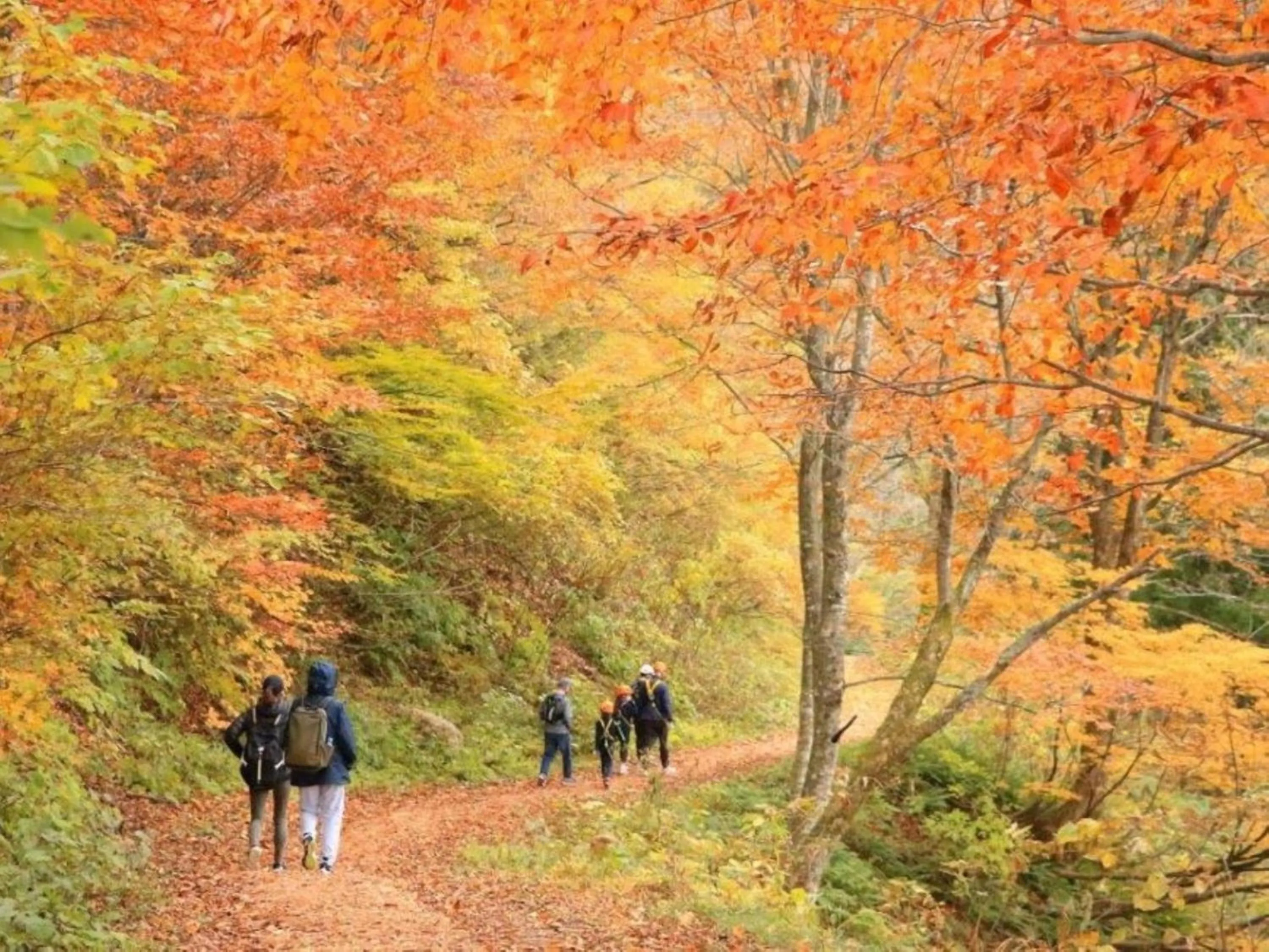 Nearby landmark in Shosenkaku Kagetsu