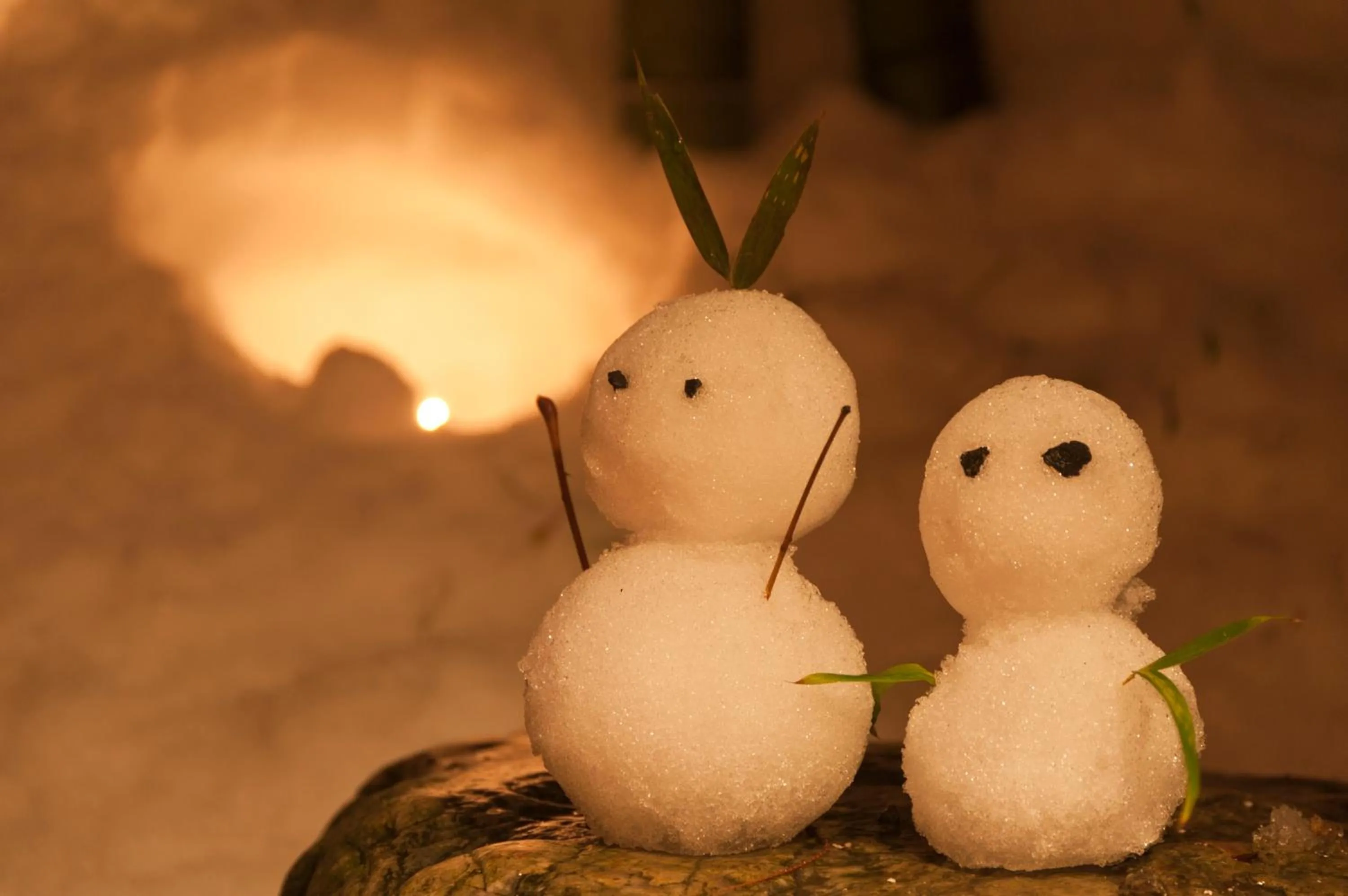 Winter in Shosenkaku Kagetsu