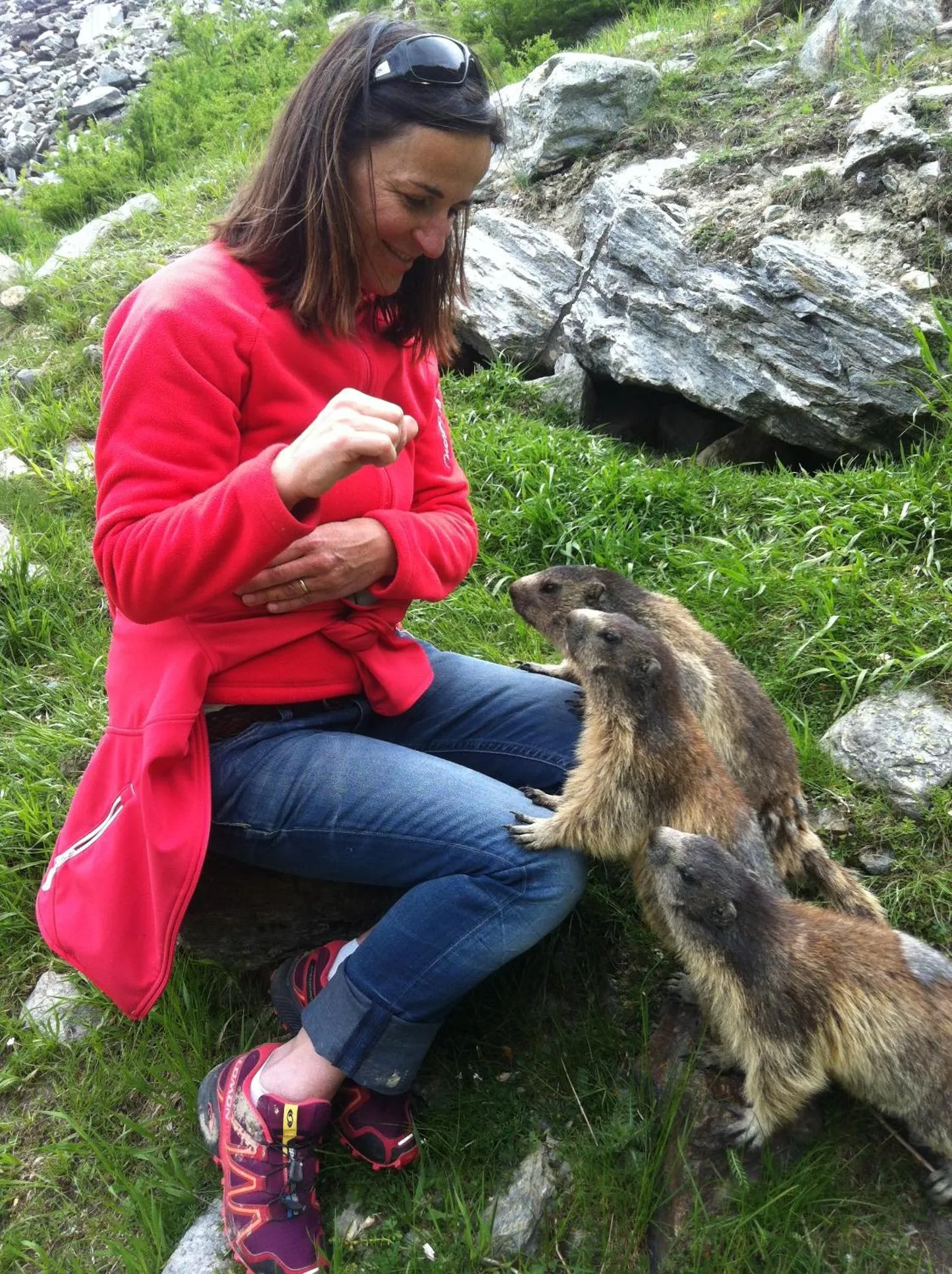 Hiking in Elite Alpine Lodge - Apart & Breakfast