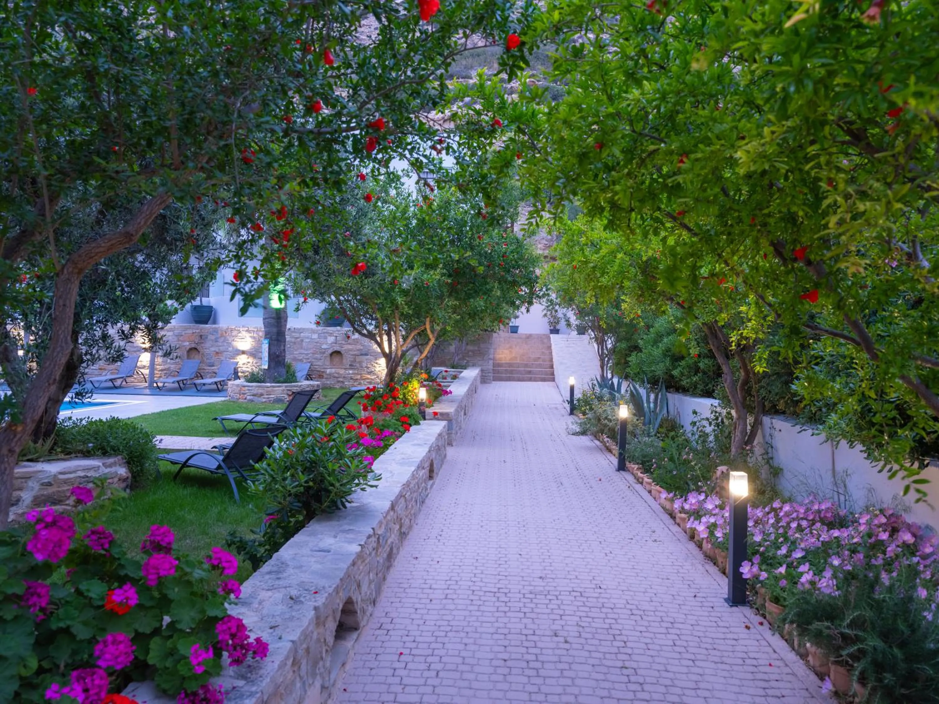 Day in Calypso Hotel