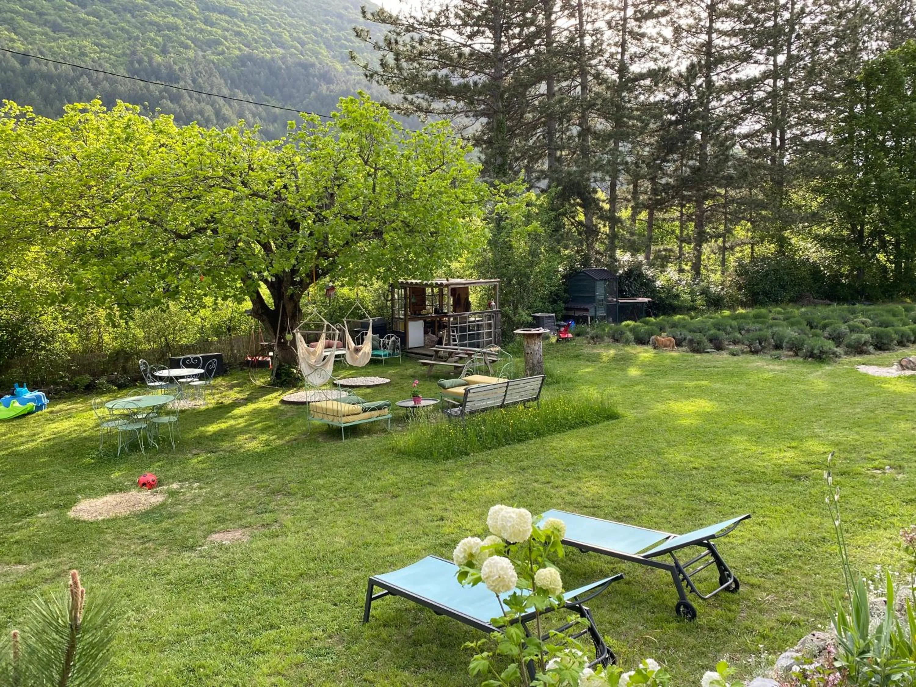 Garden in Mas de la Pauze