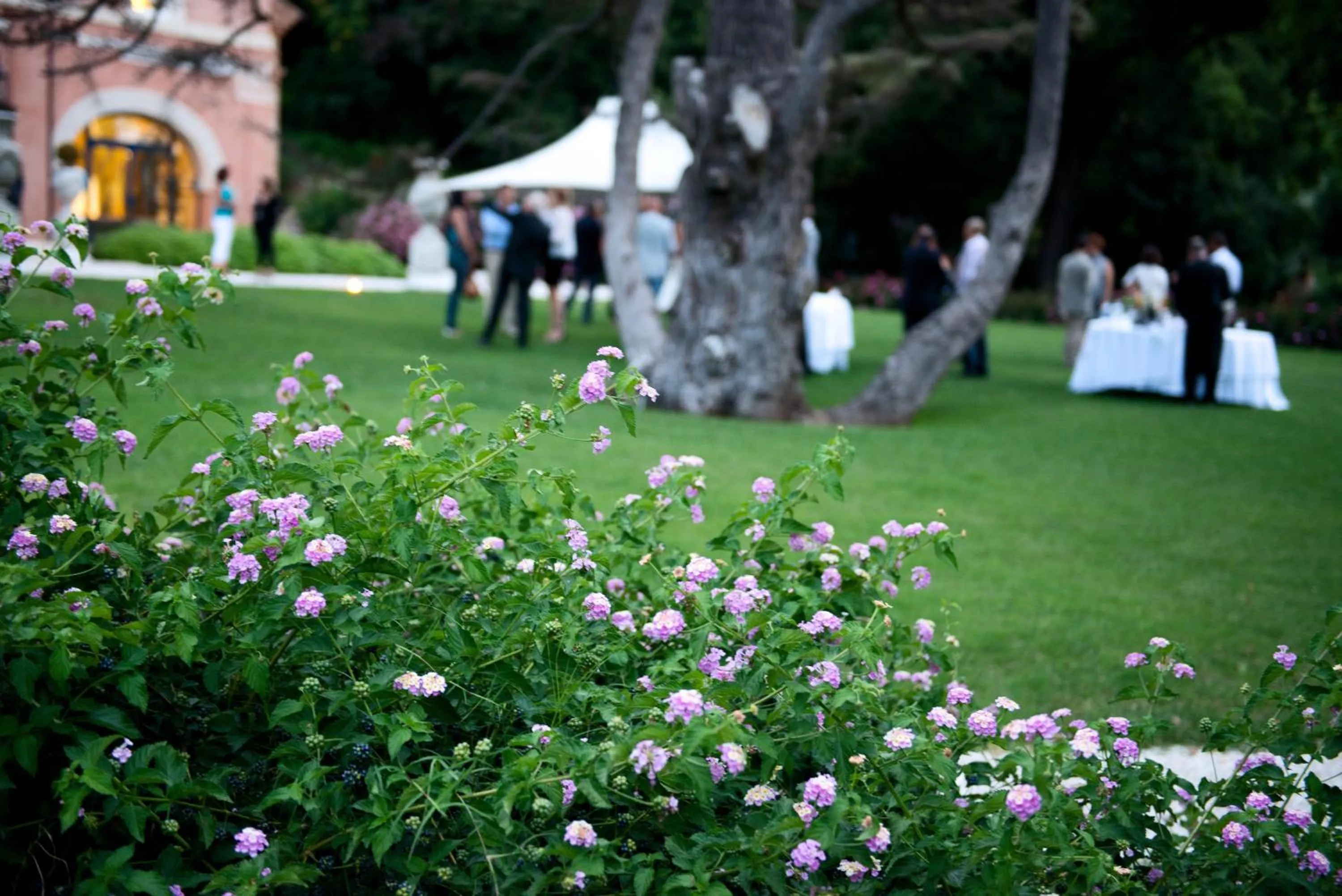 Restaurant/places to eat in Villa Lattanzi