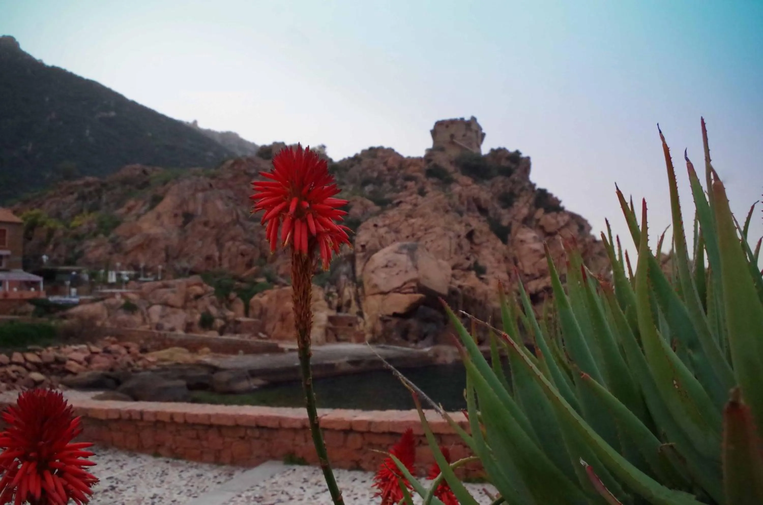 Area and facilities in Brise de Mer