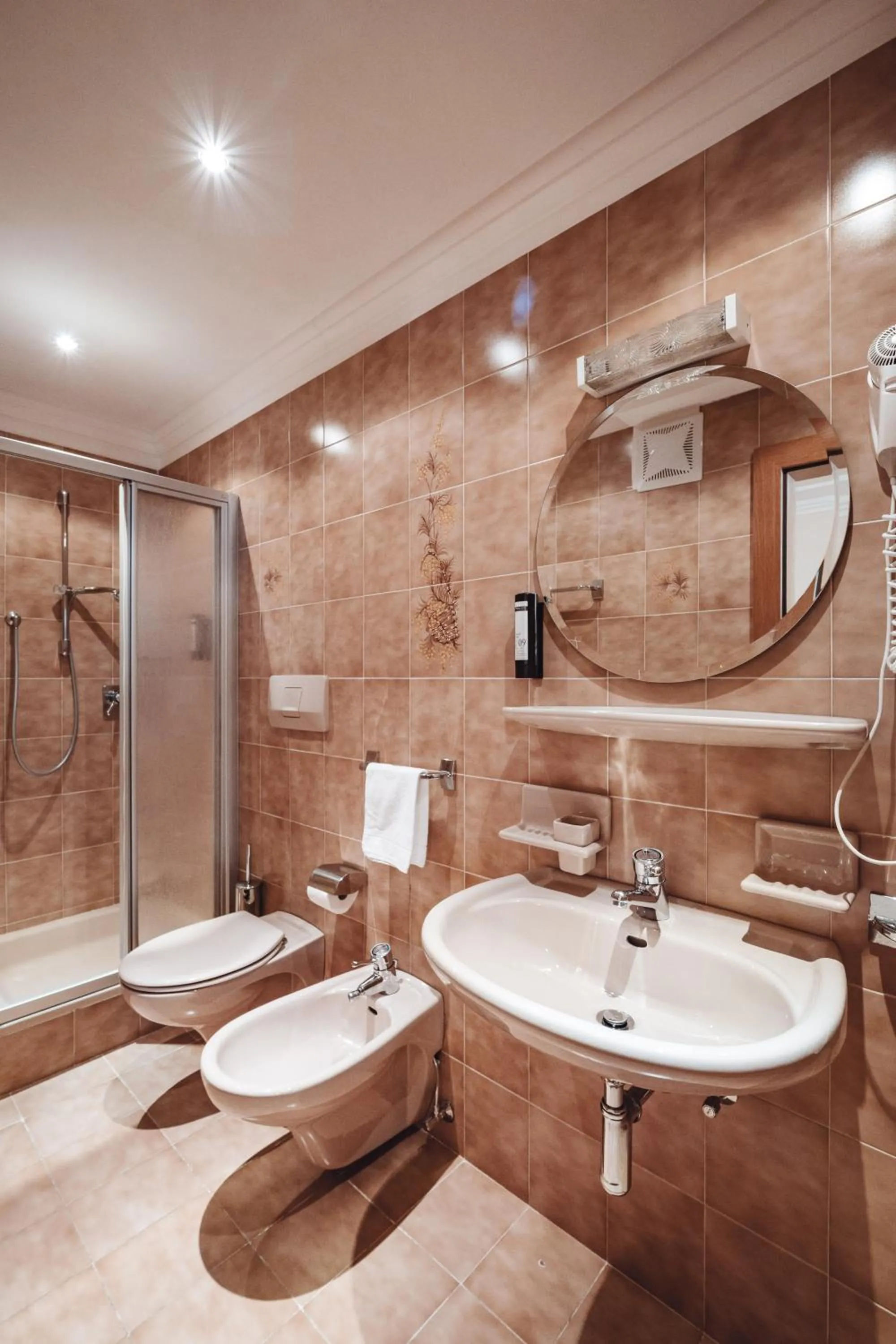 Toilet in Hotel Plan de Gralba - das Berghotel