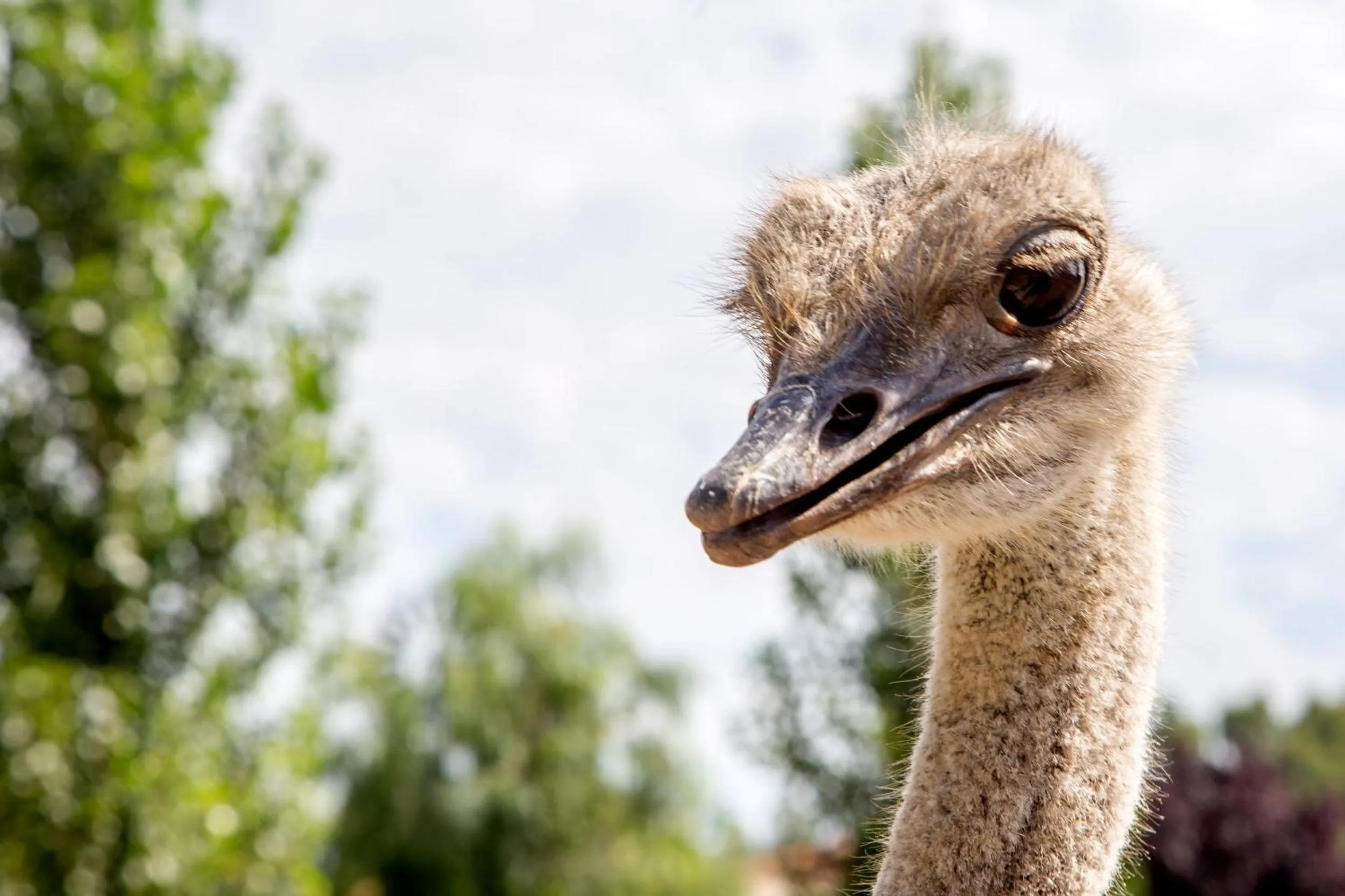 Day in Agriturismo 4 Ricci