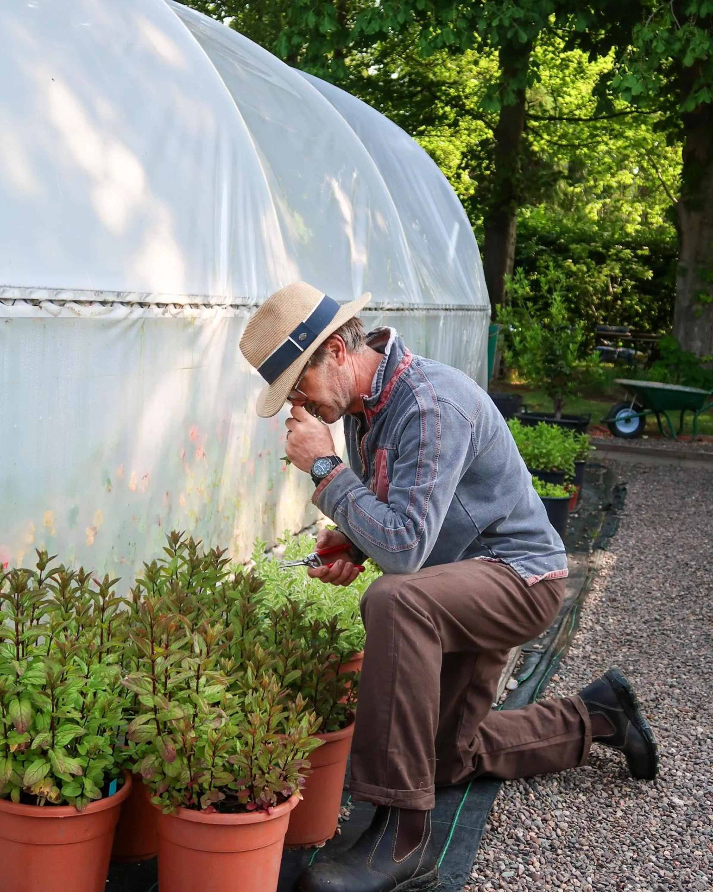 Garden in Rufflets St Andrews
