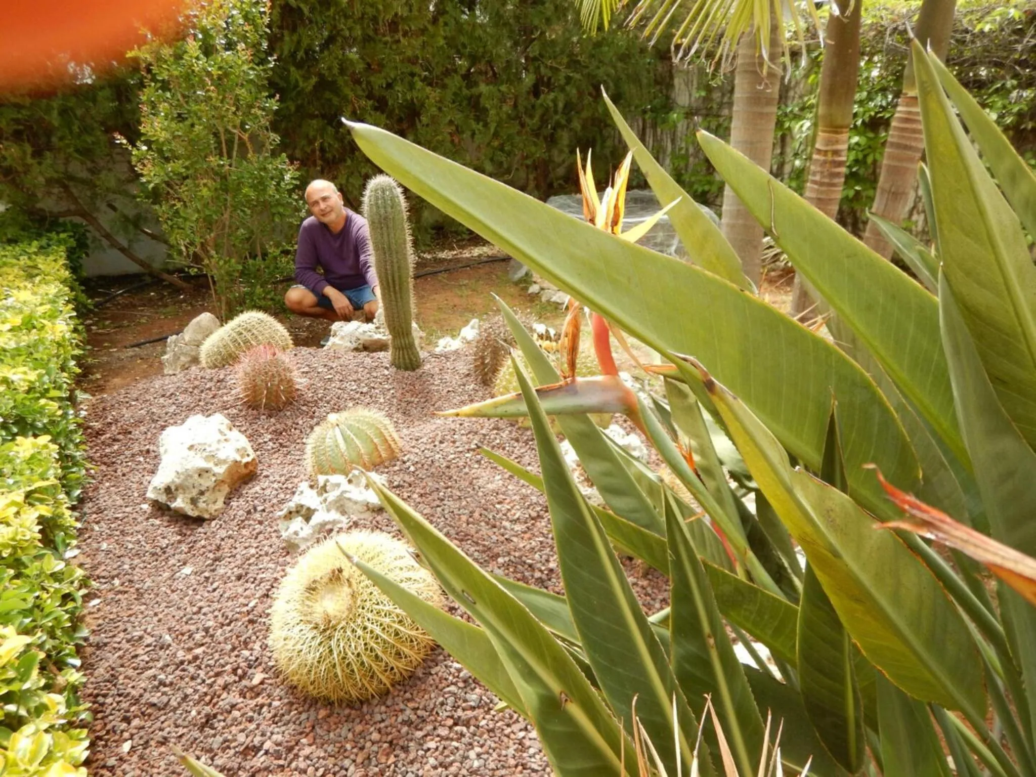 Garden in B&B Villa Ines