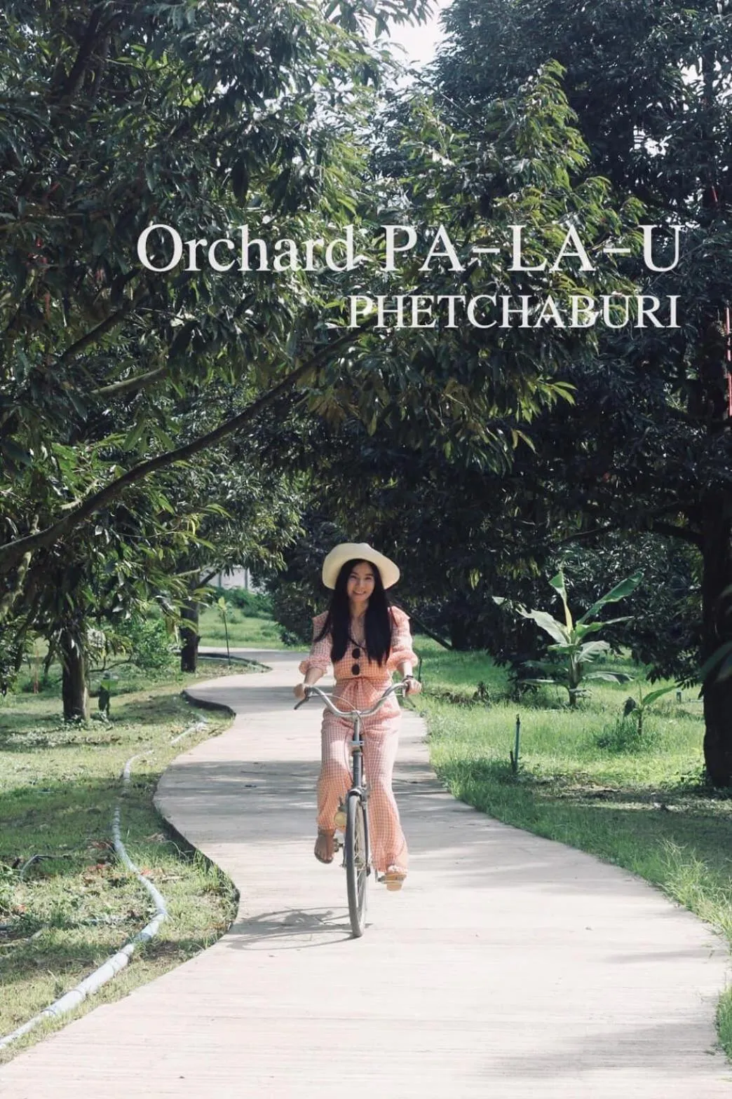 Communal lounge/ TV room in Orchard Pa La U