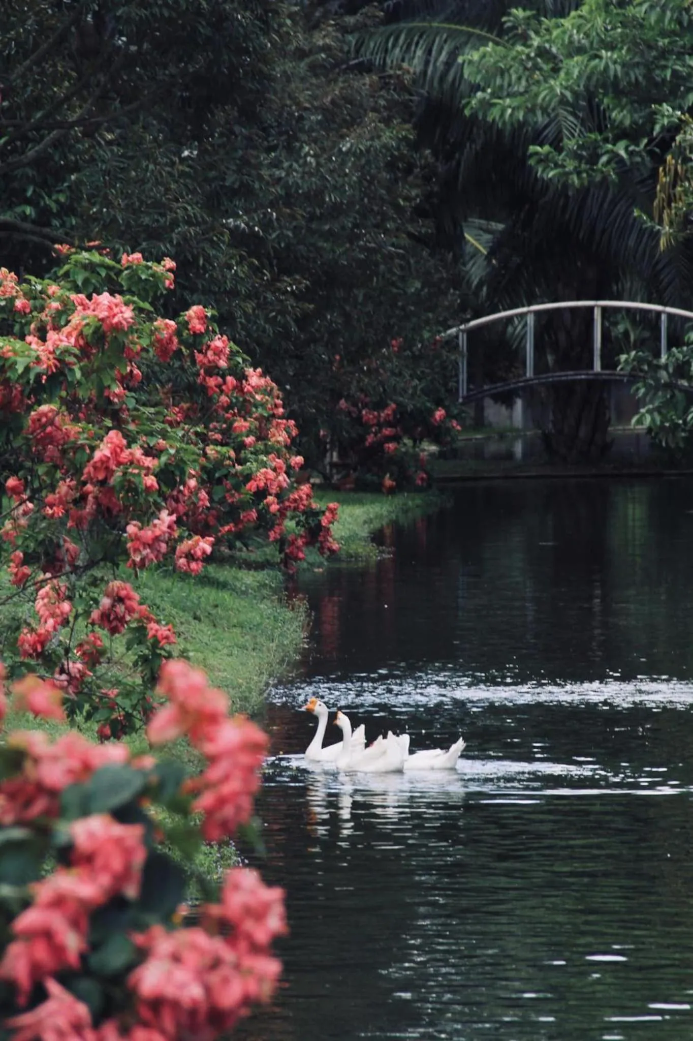 Communal lounge/ TV room in Orchard Pa La U