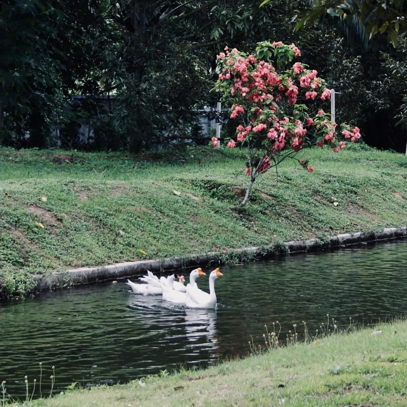 Communal lounge/ TV room in Orchard Pa La U