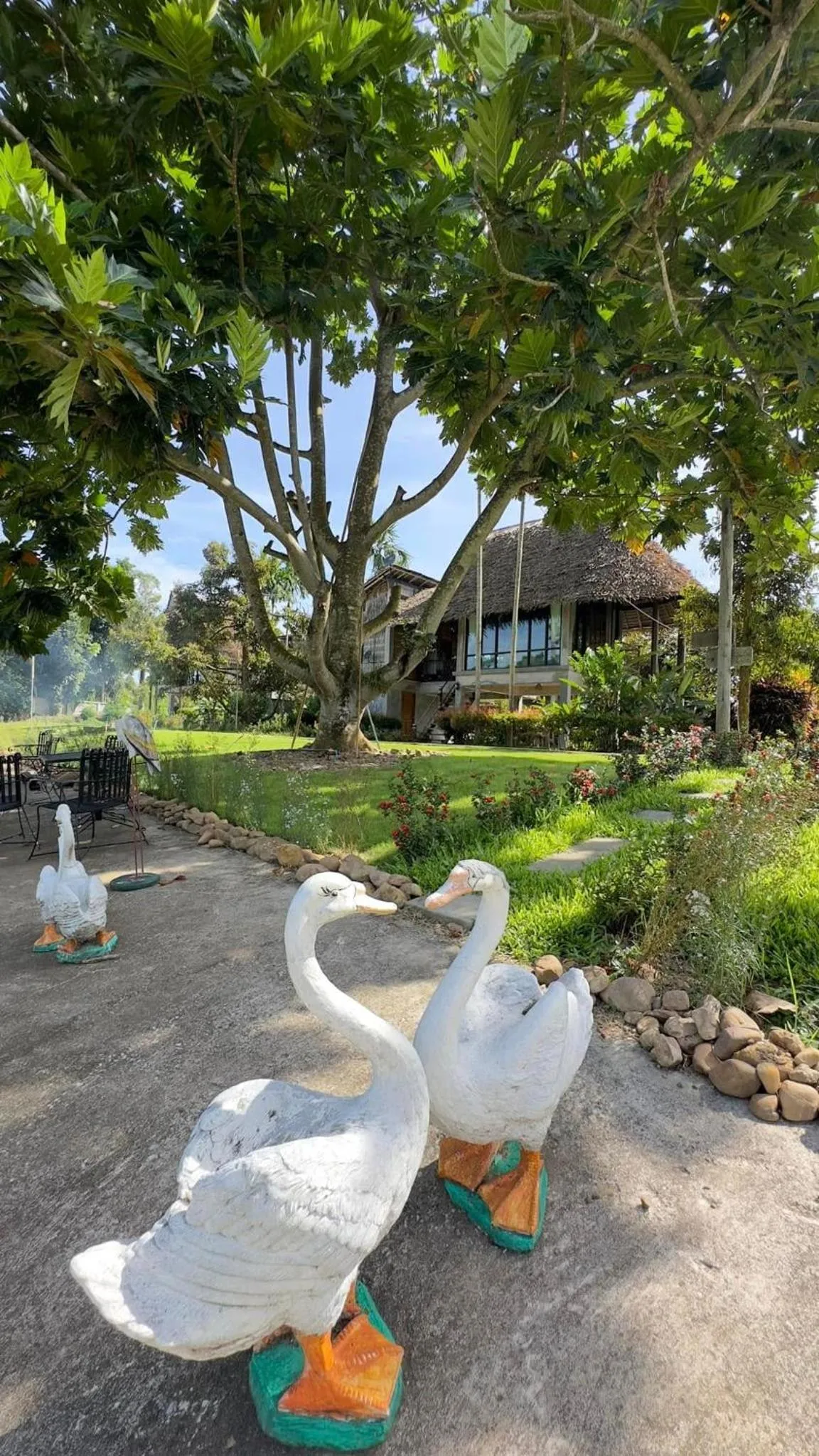 Day in Orchard Pa La U