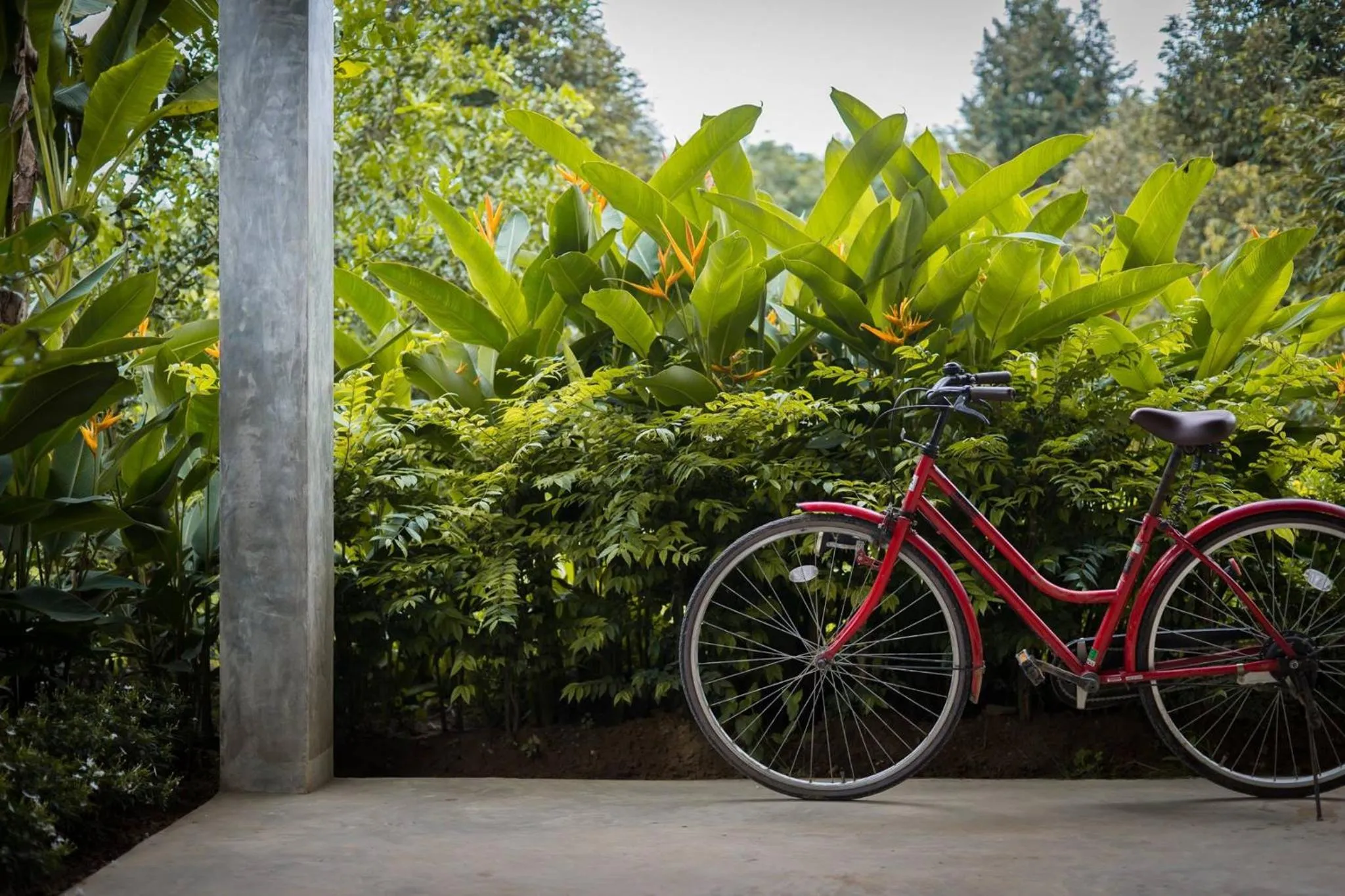 Garden in Orchard Pa La U