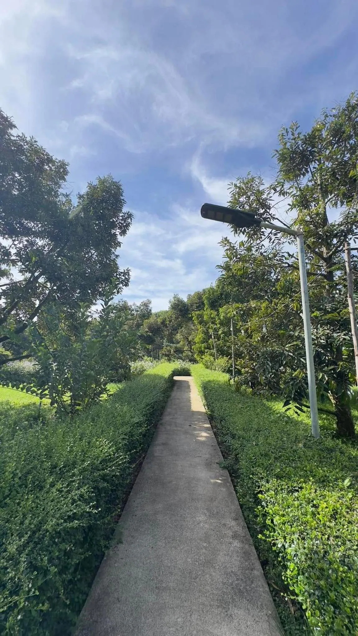 Day in Orchard Pa La U