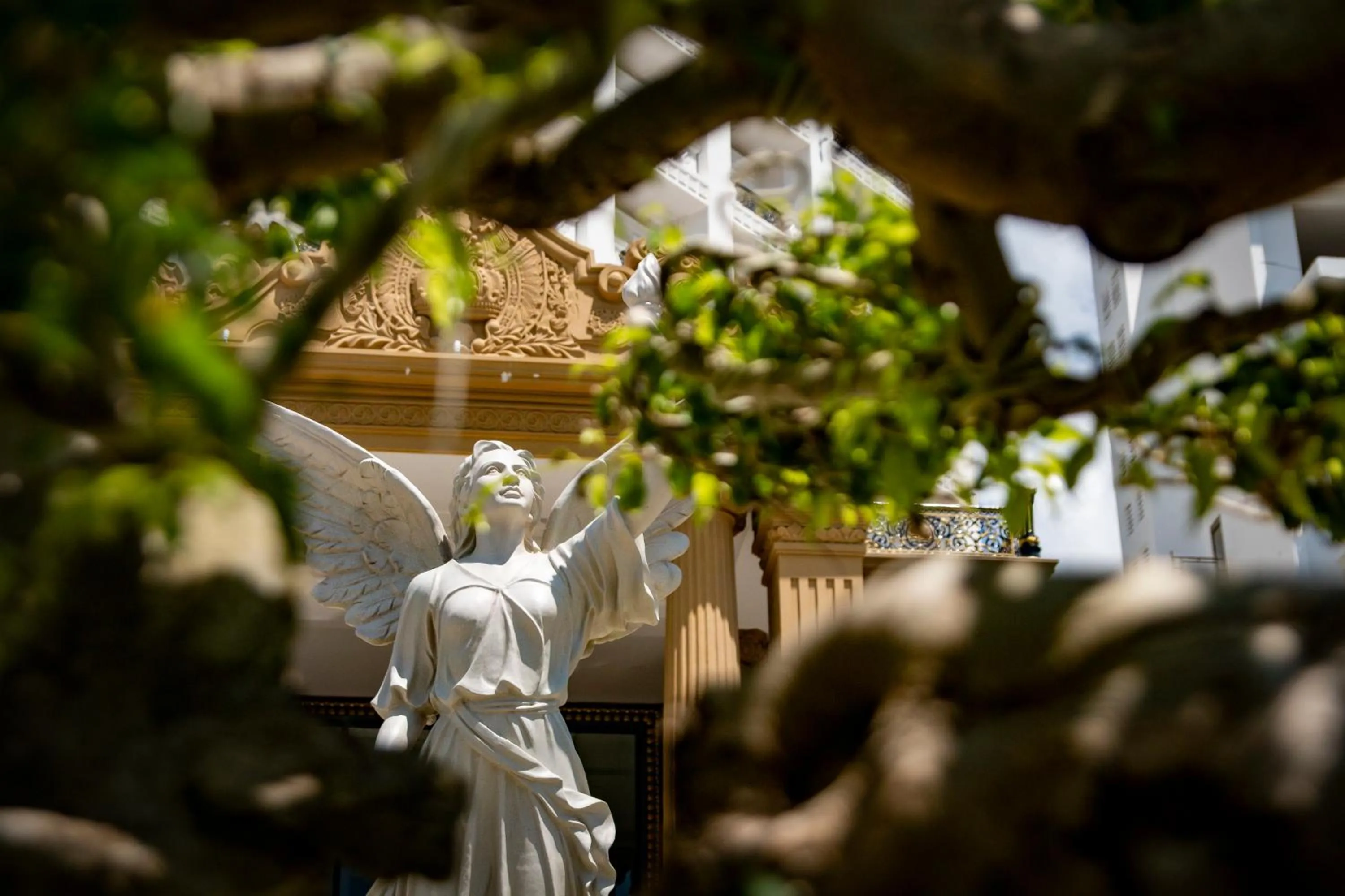 Property building in Thien Thanh Resort