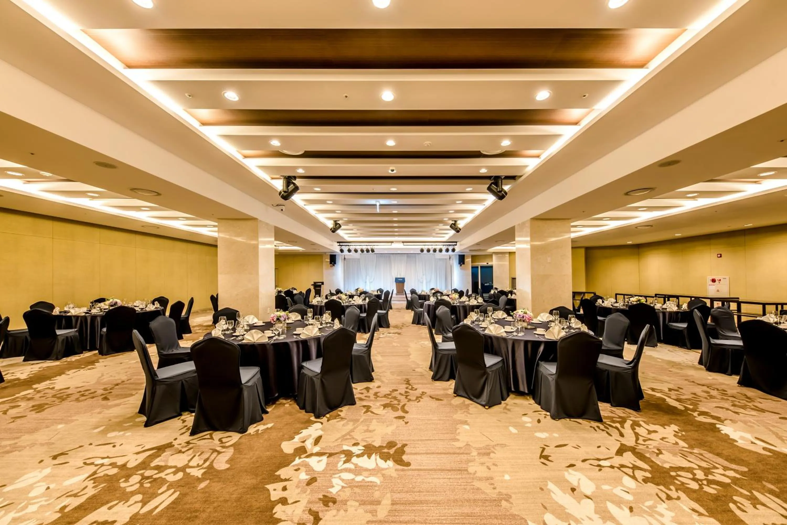 Banquet/Function facilities in Hotel Sirius