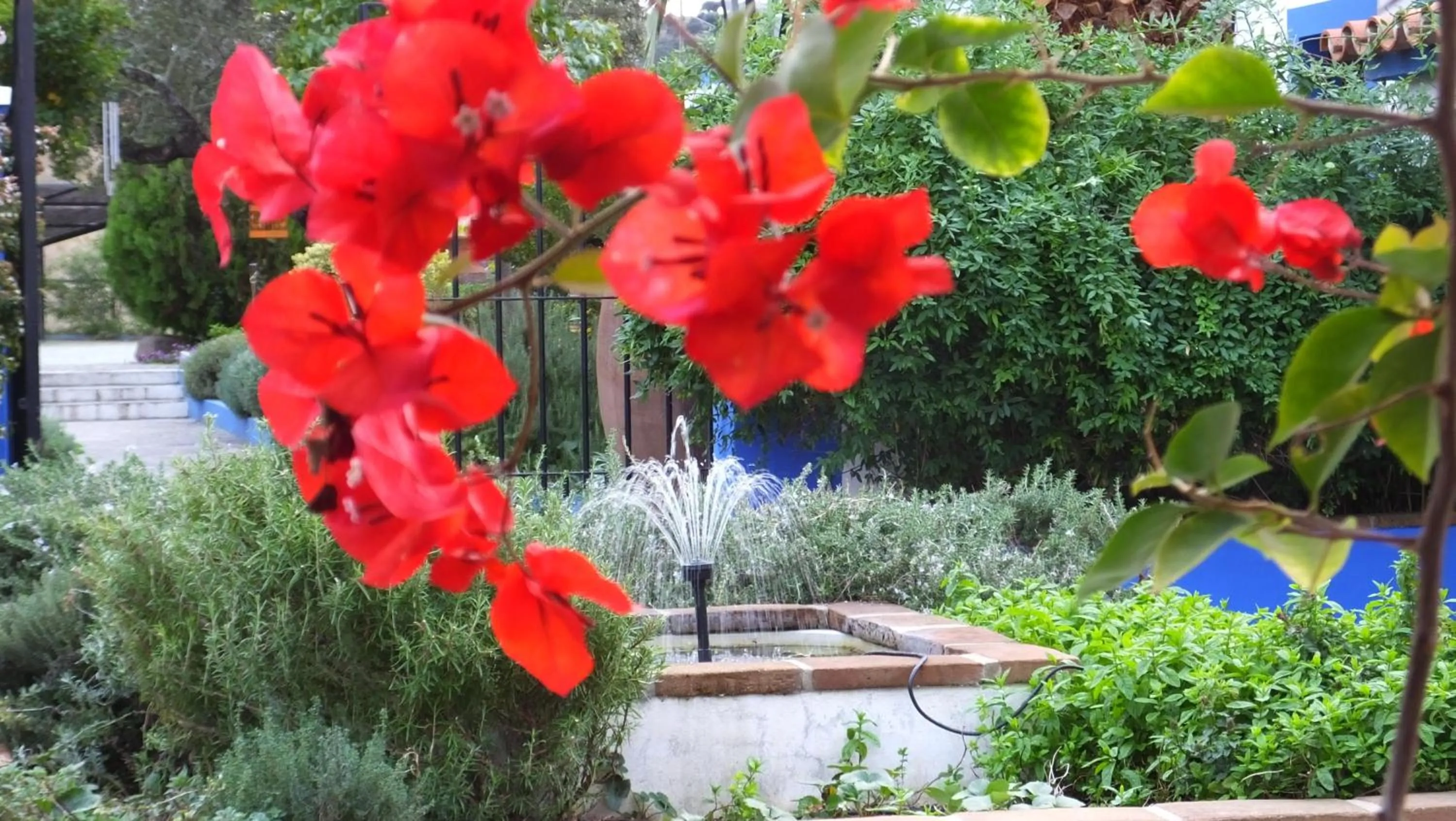 Garden in Monte Alerta Turismo Rural