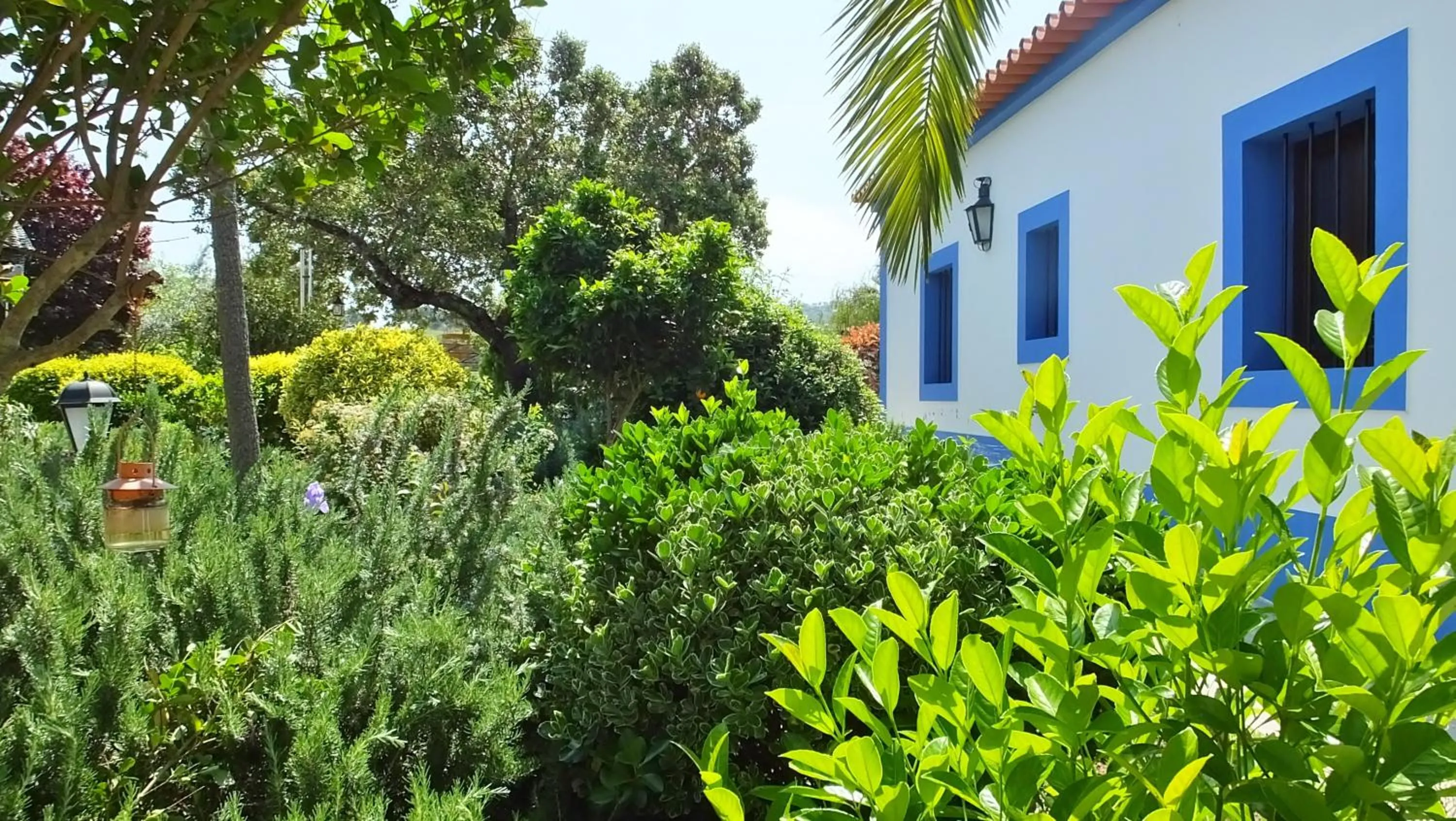 Garden in Monte Alerta Turismo Rural