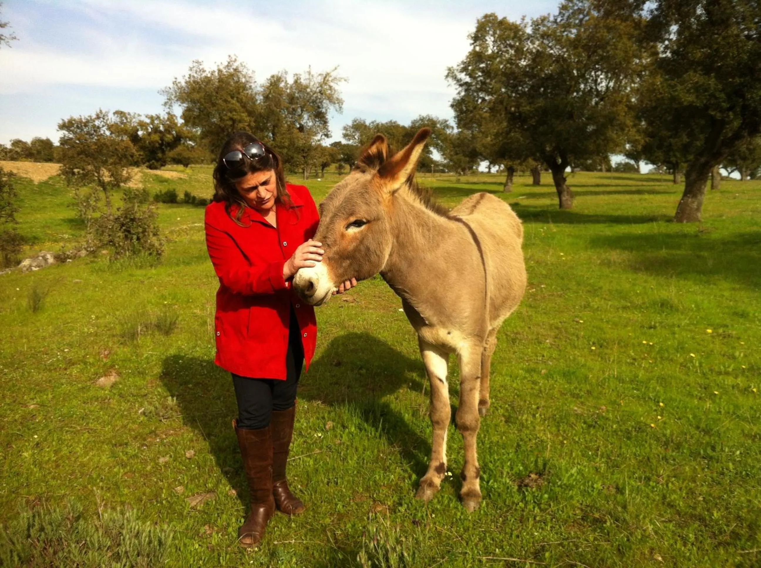 Animals in Monte Alerta Turismo Rural