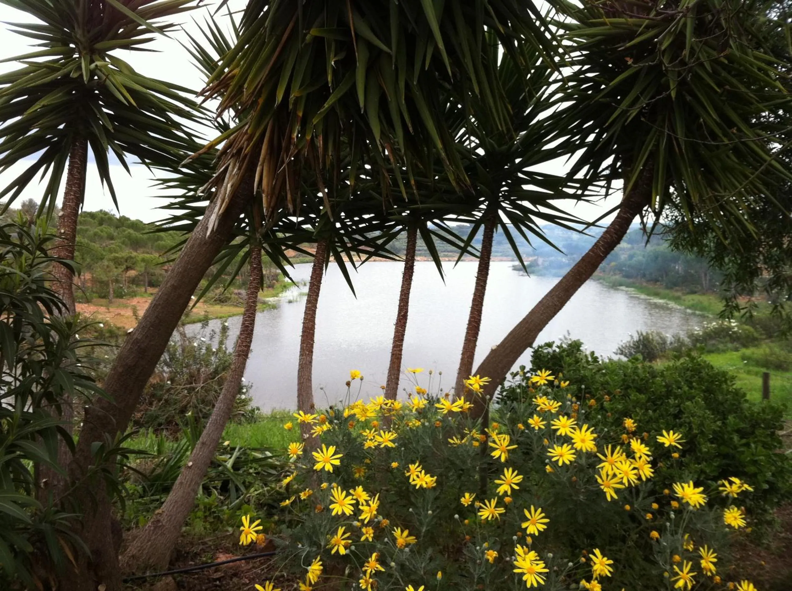 Garden in Monte Alerta Turismo Rural