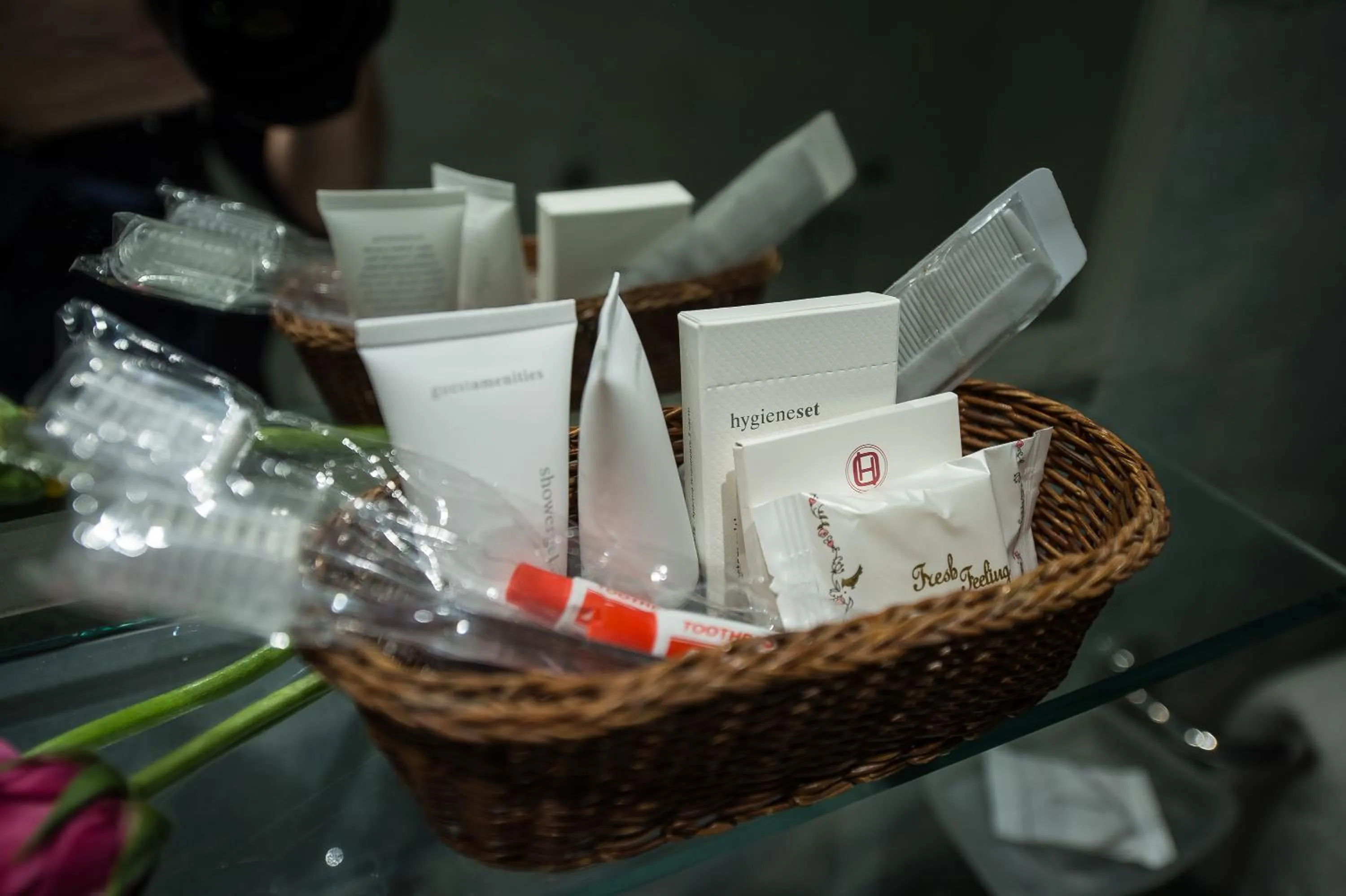 Area and facilities in Hotel Olympos