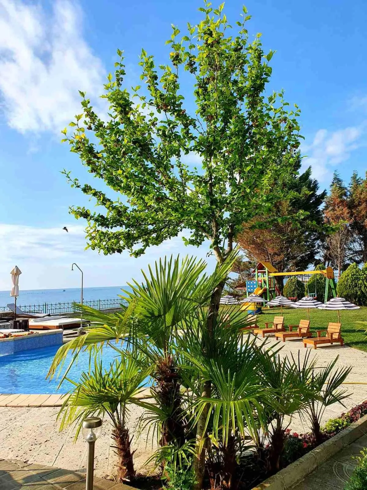 Patio in Peter Hotel