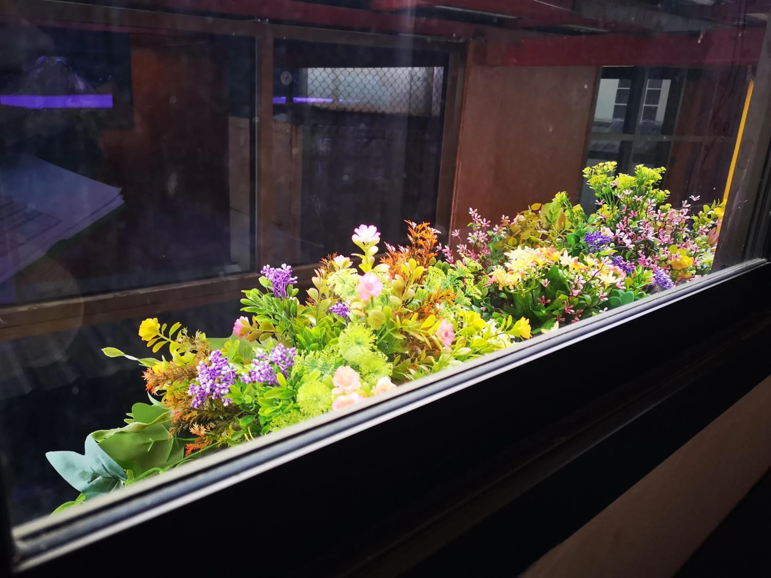 View (from property/room) in 4J Lodge