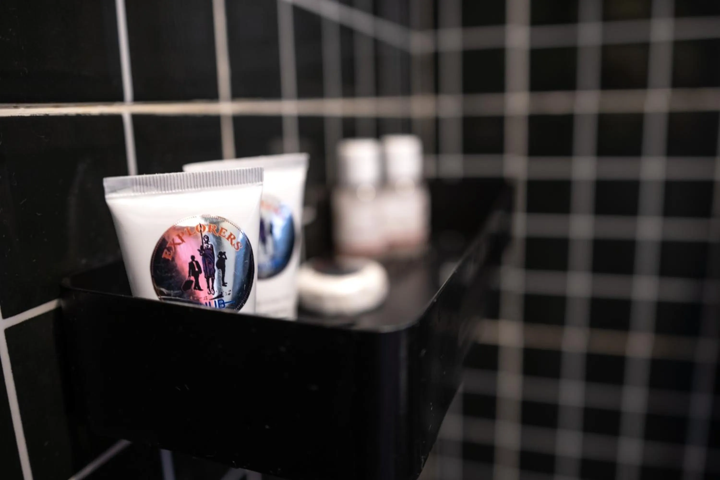 Bathroom in Explorers Hub