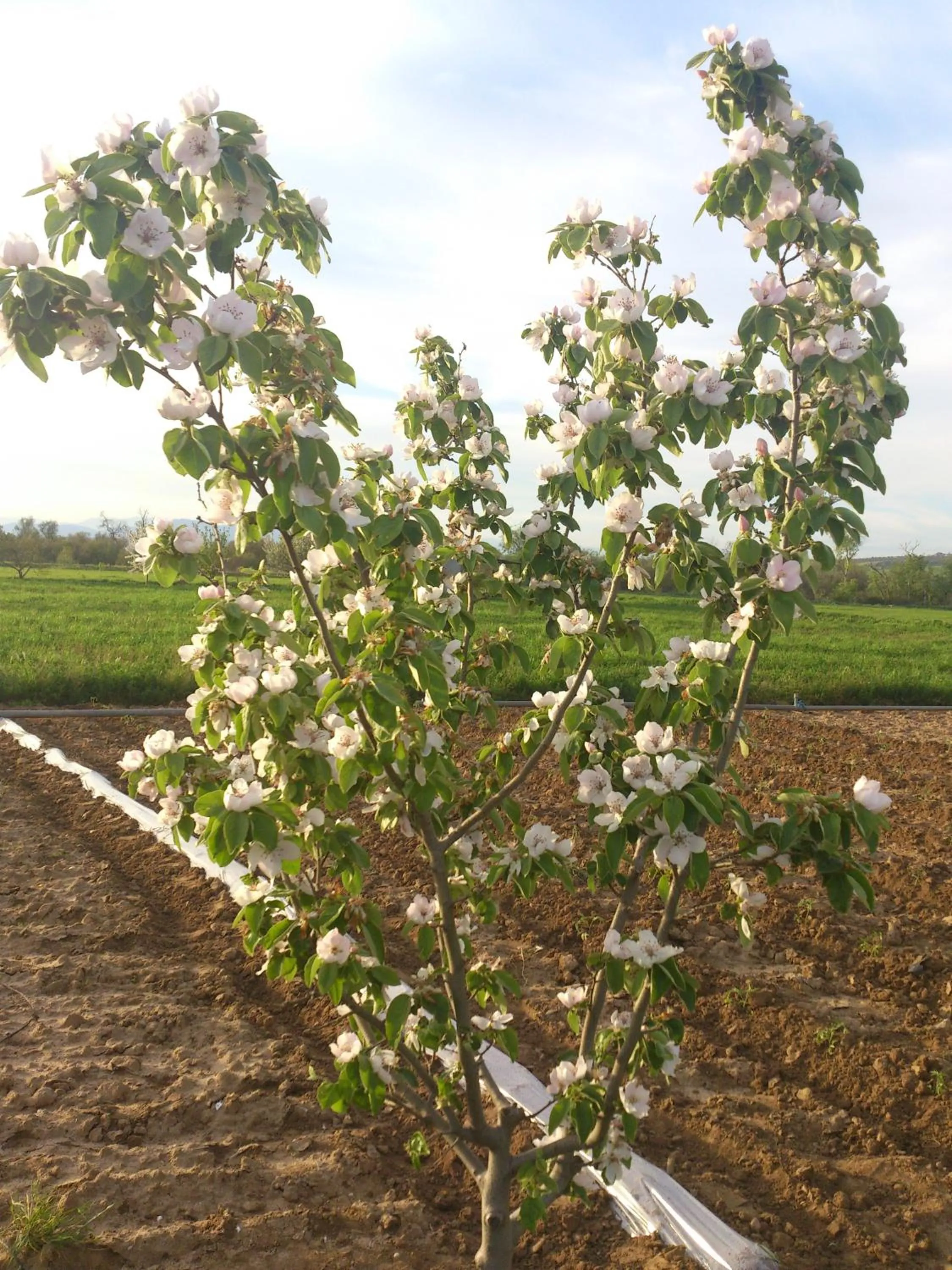 Property building in Posada La Reja