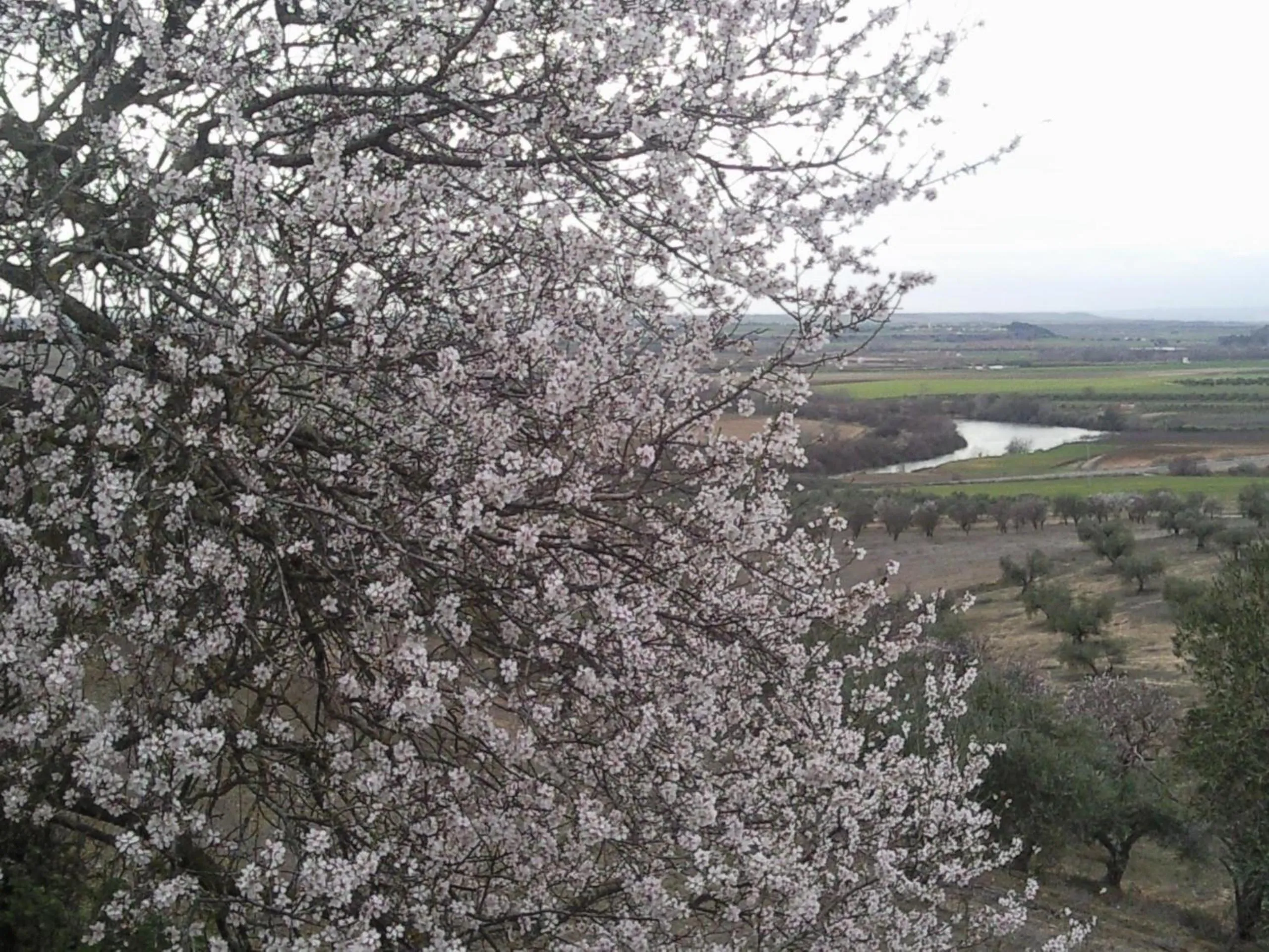 Property building in Posada La Reja