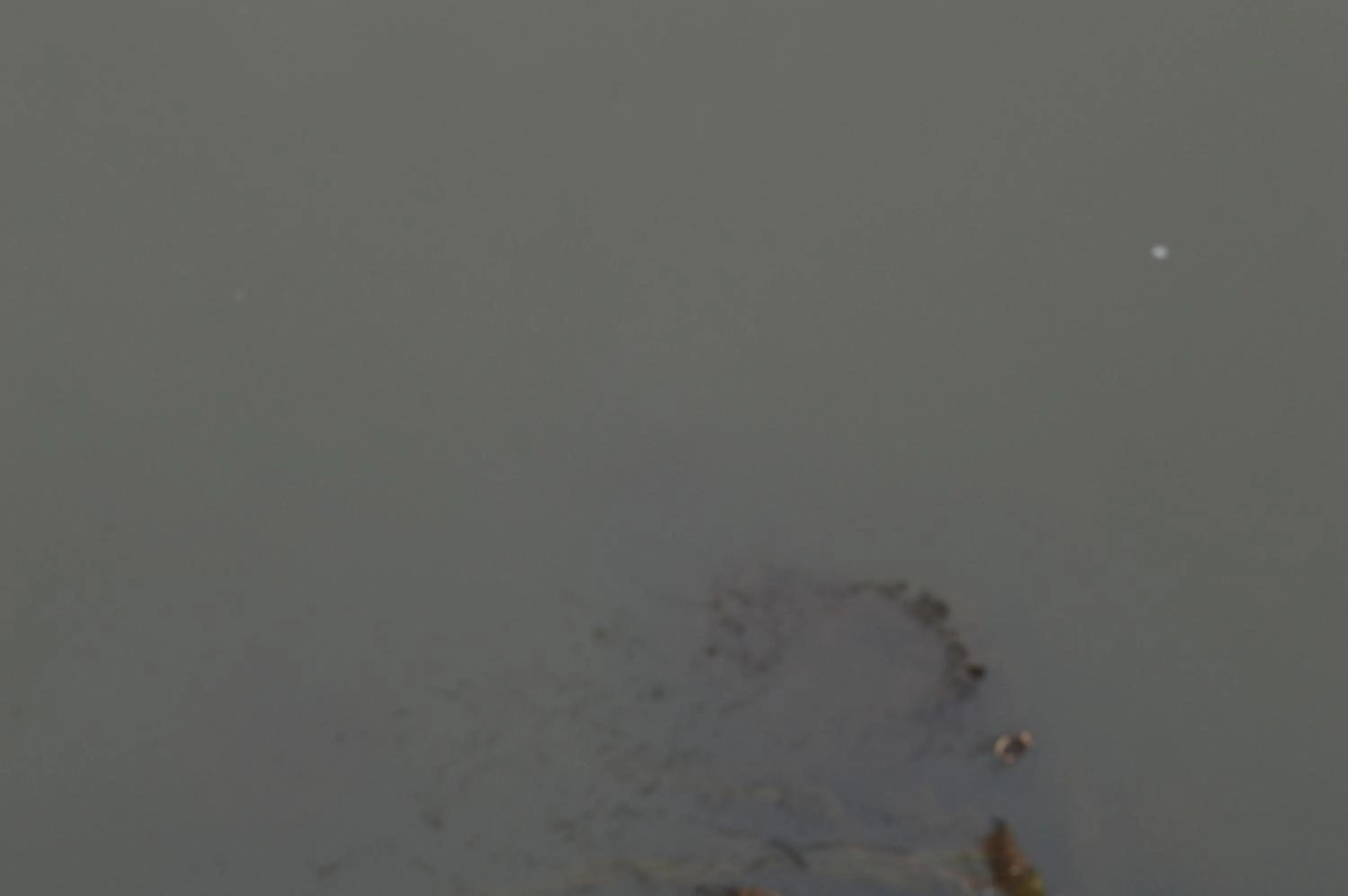 Property building in Posada La Reja