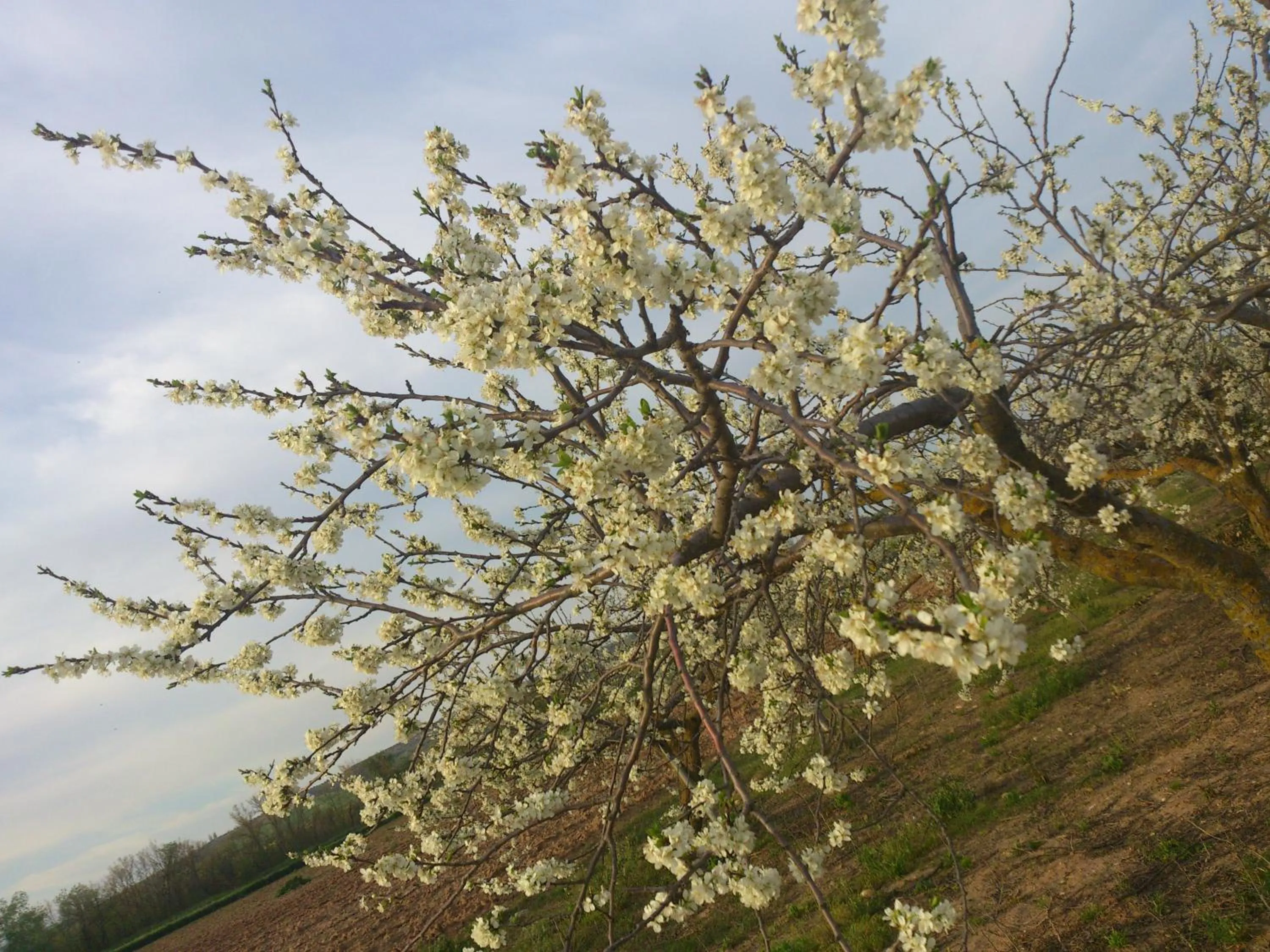 Property building in Posada La Reja