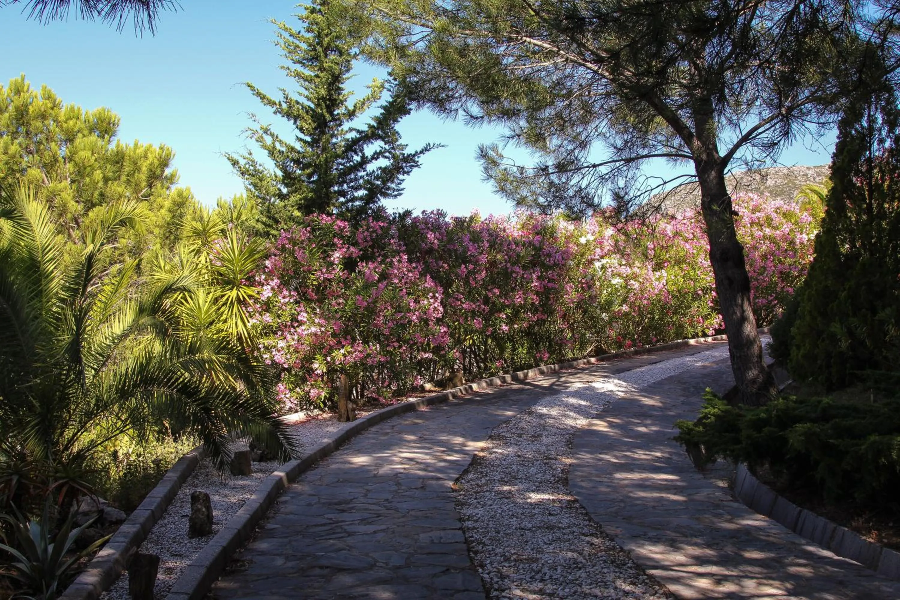 Natural landscape in DDG Retreat