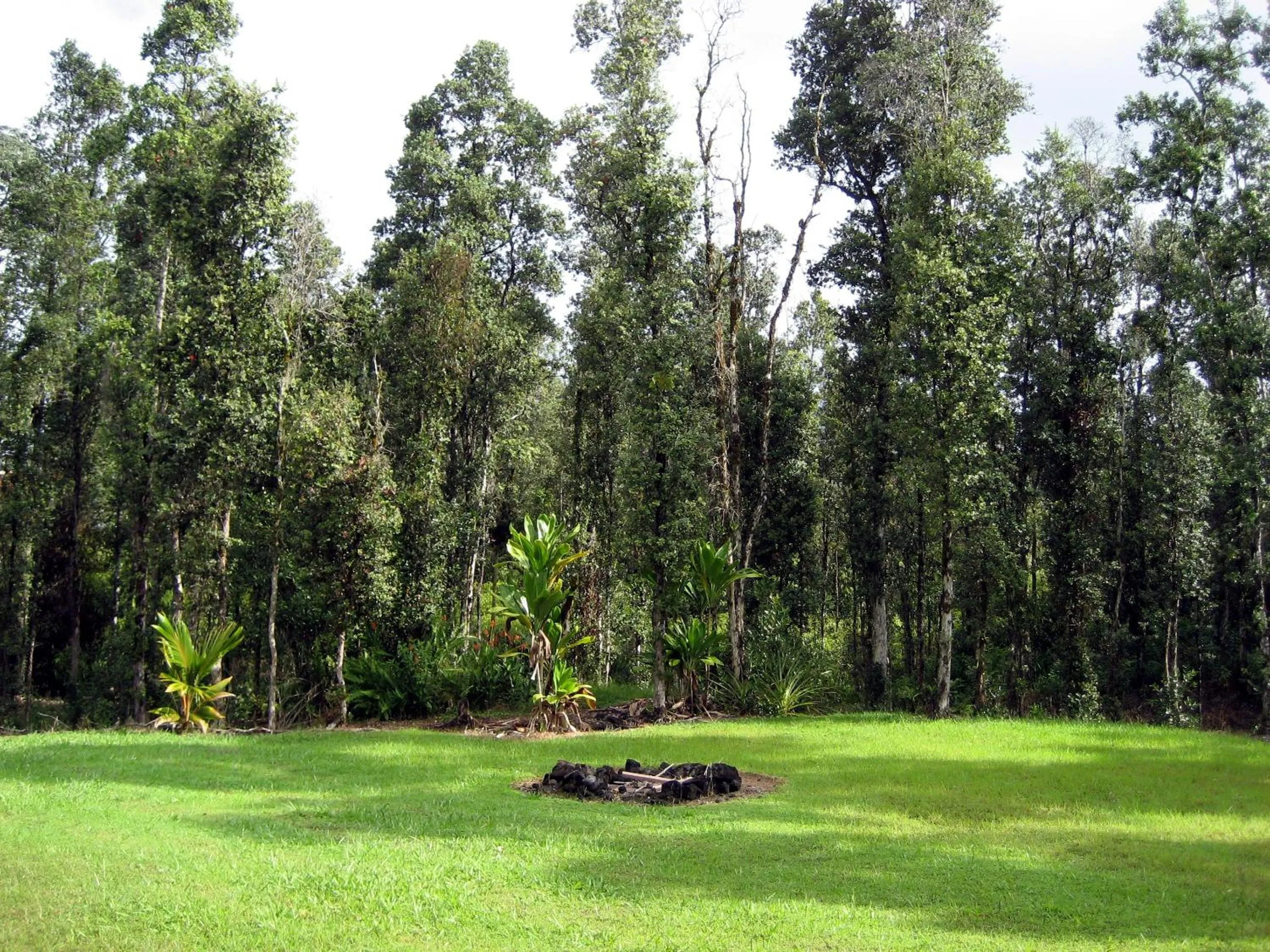 Natural landscape in Keaau Place