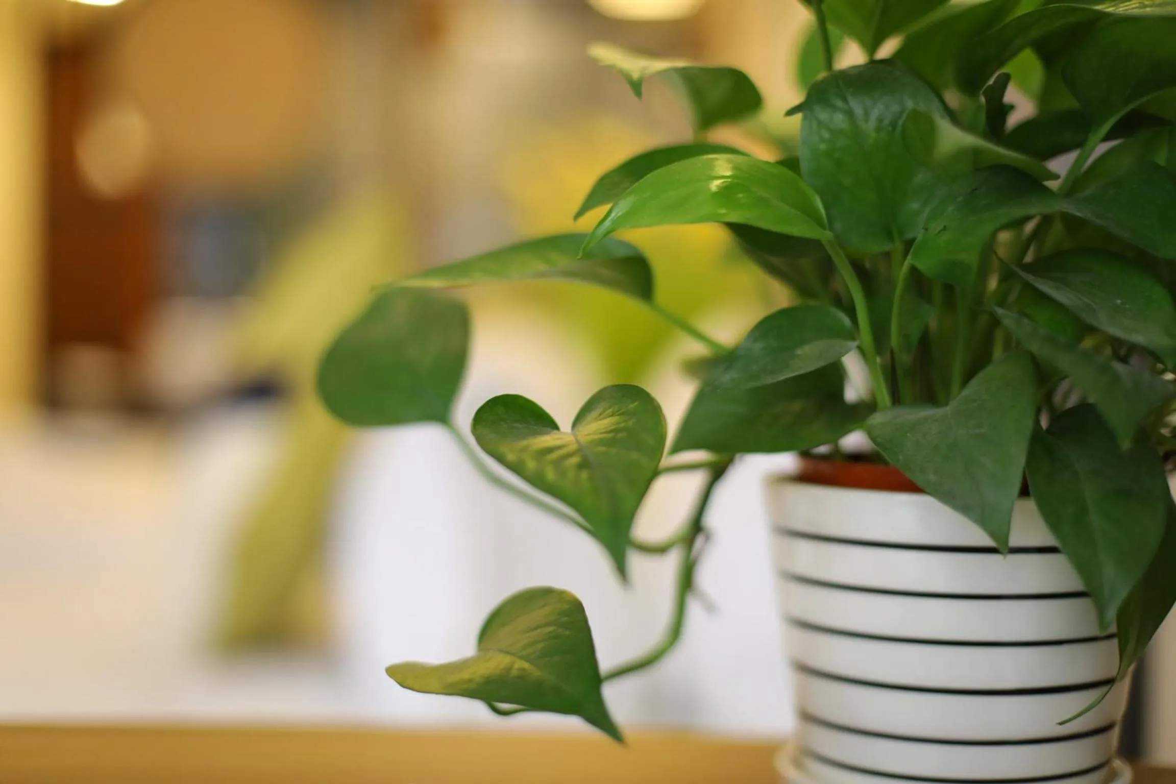 Guangzhou Homies Hotel