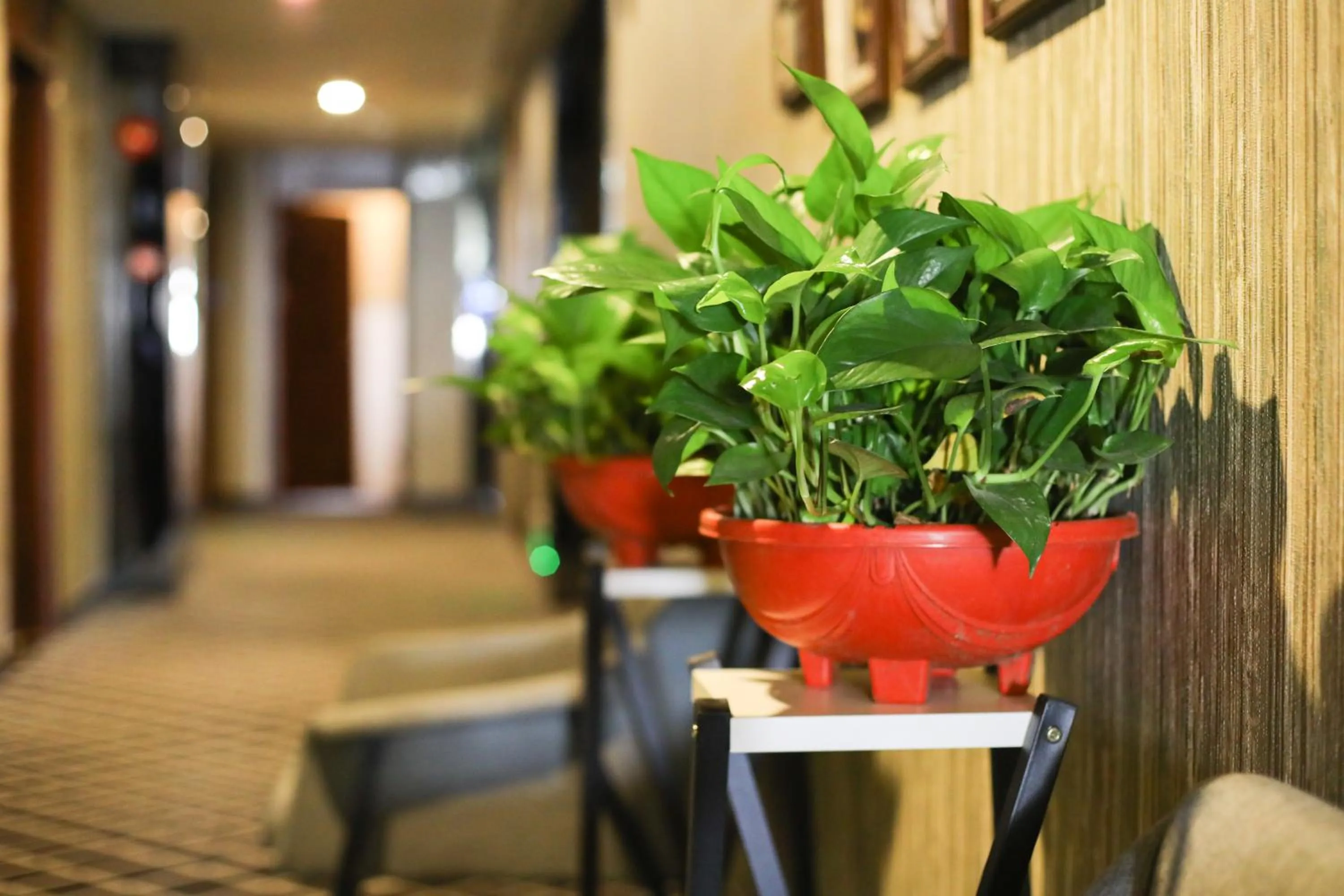 Guangzhou Homies Hotel