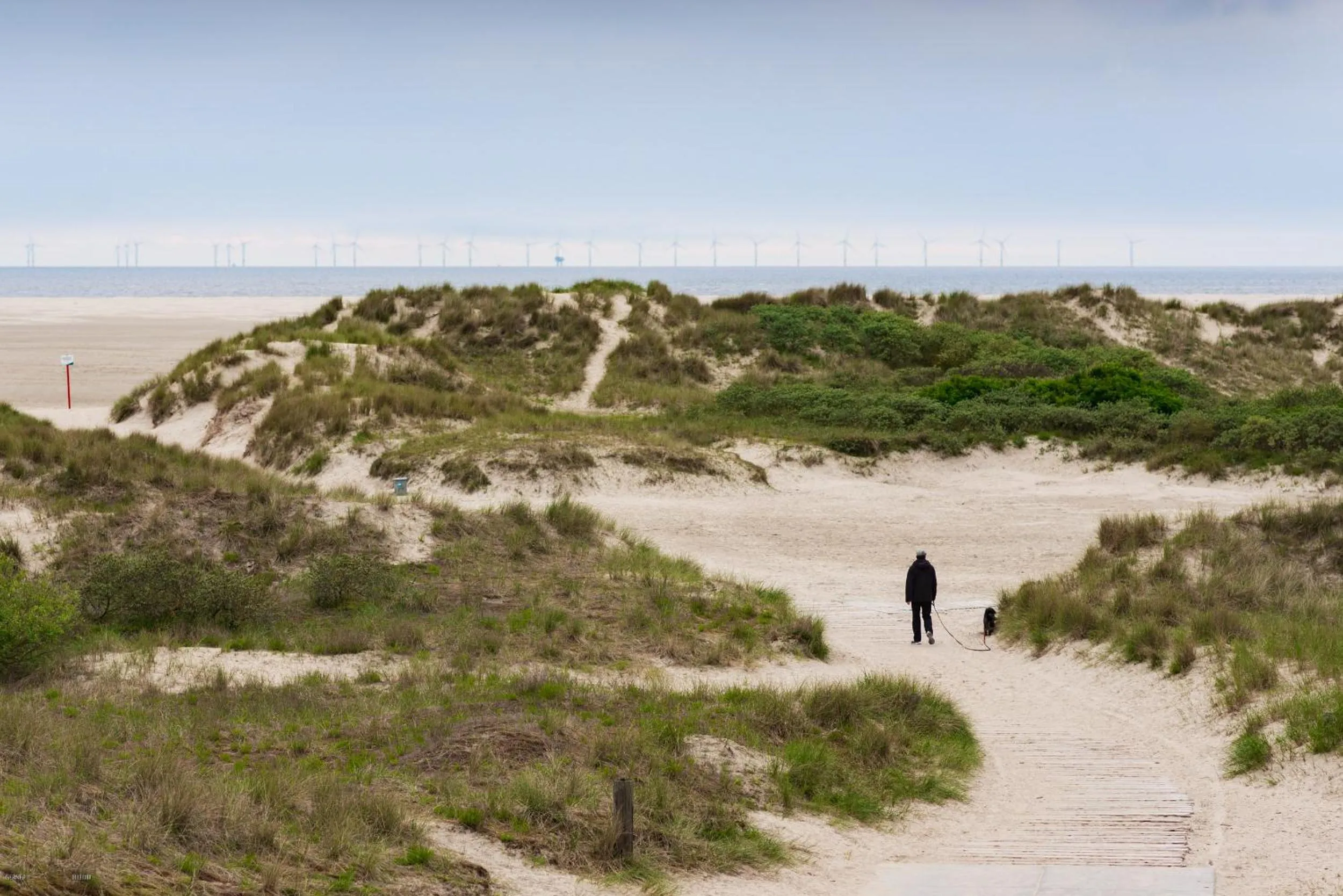 Beach in Hotel das Miramar