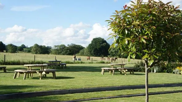 Natural landscape in The Bull at Great Totham Limited