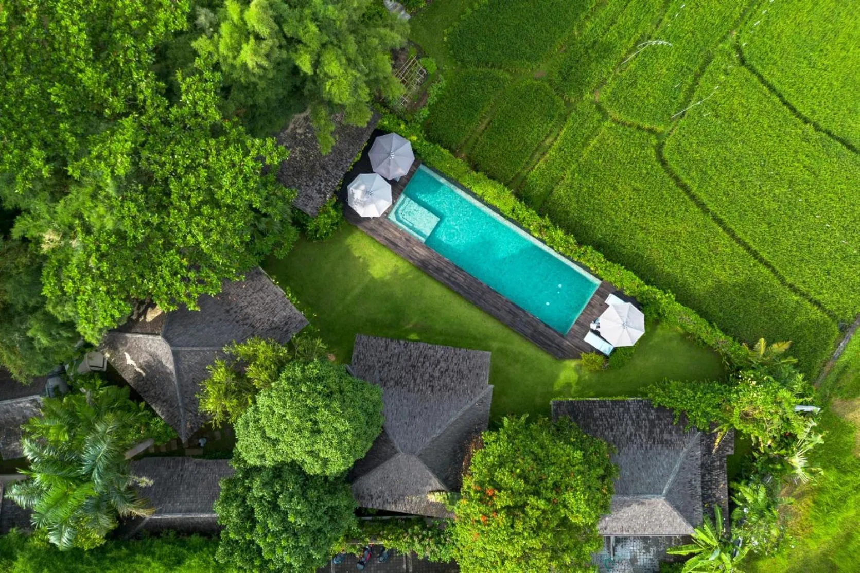 Natural landscape in Villa Artis