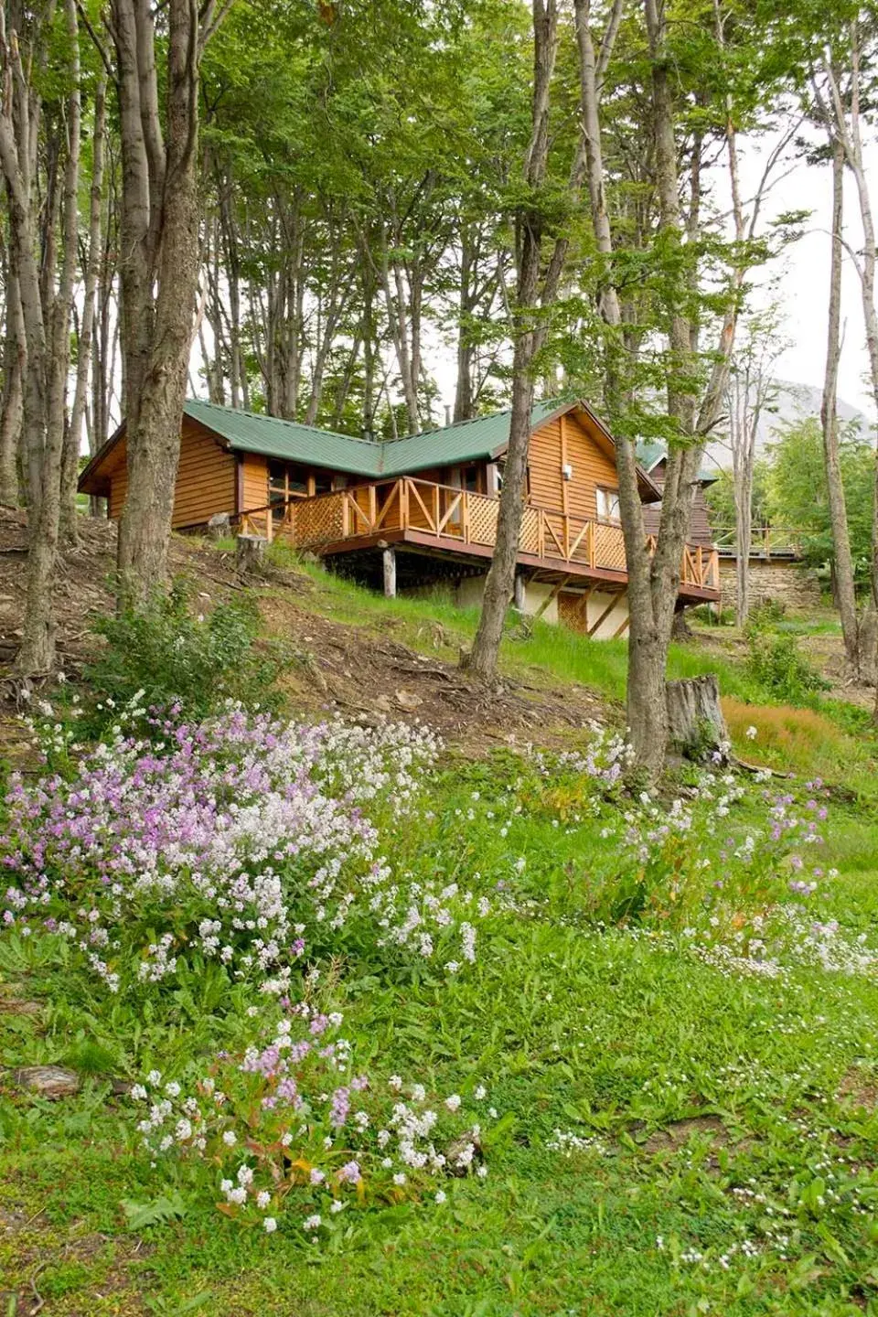 Two-Bedroom Bungalow in Aldea Nevada Two-Bedroom Bungalow in Aldea Nevada