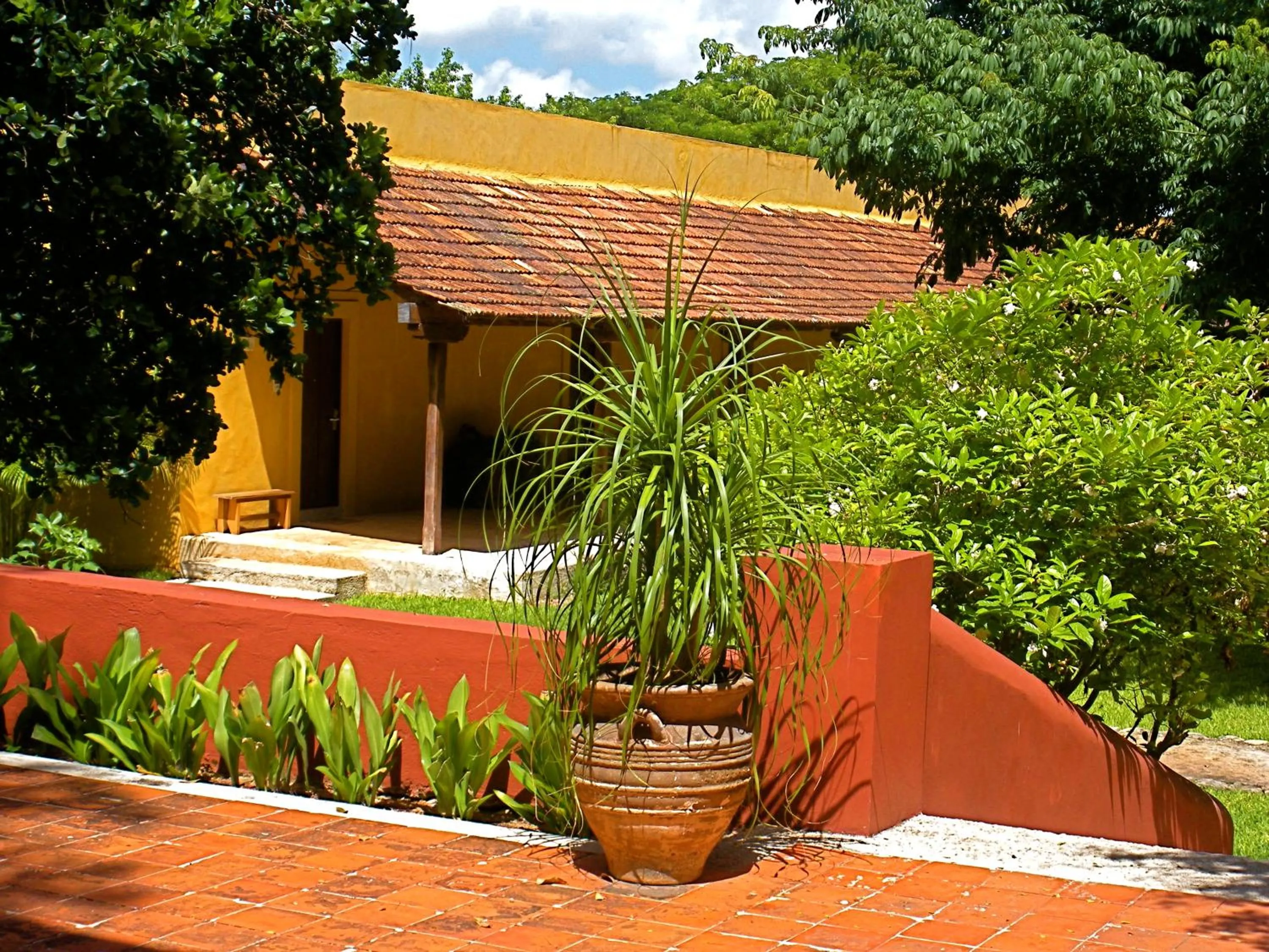 Garden in Hacienda Misne